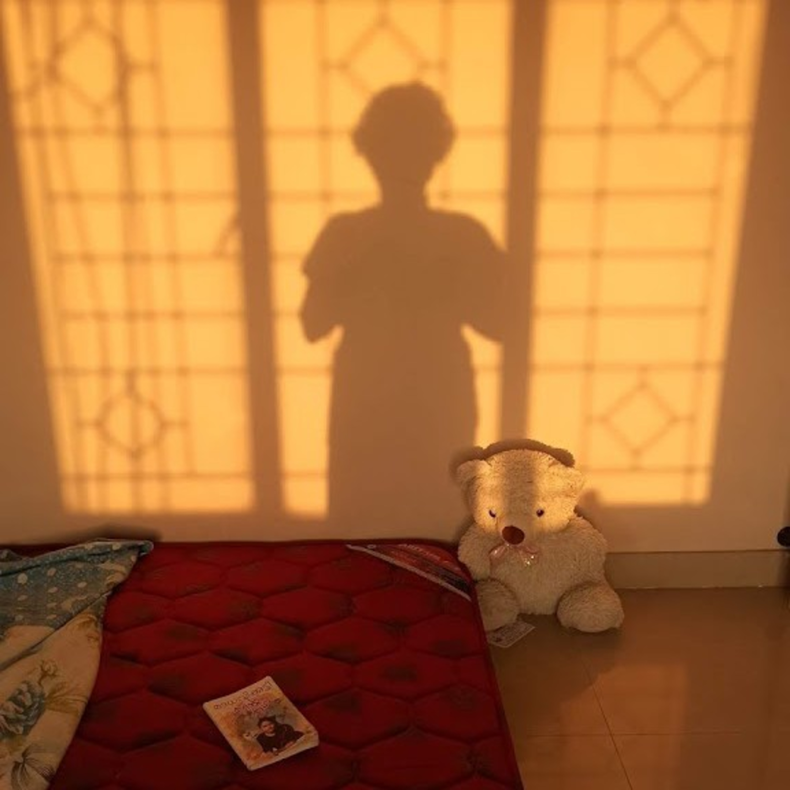 ചിതറിയ ചിന്തകൾ - Musings Of A Confused Thinker