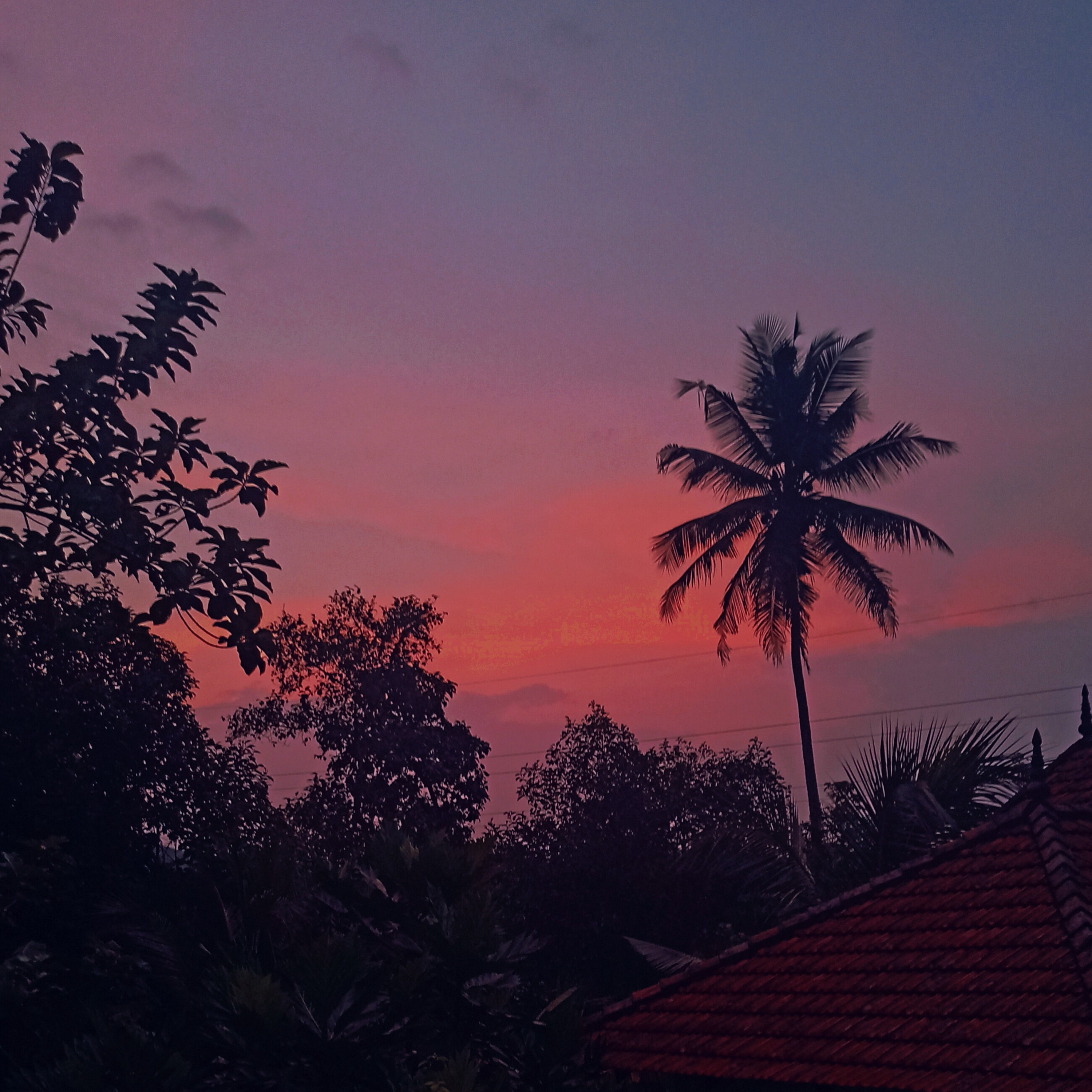 ചിതറിയ ചിന്തകൾ - Musings Of A Confused Thinker