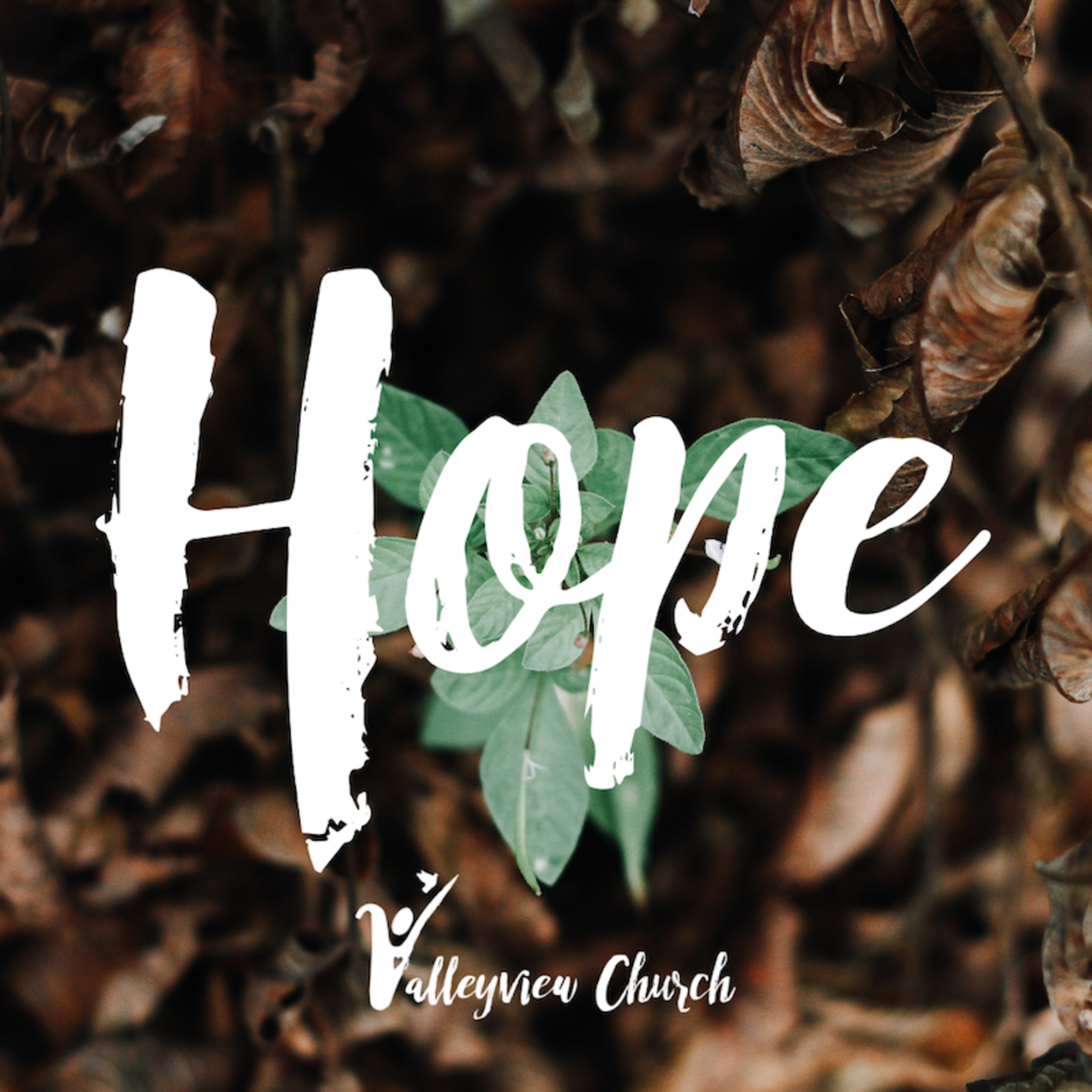 Hope: Part 1 "The Necessity of Hope" episode artwork
