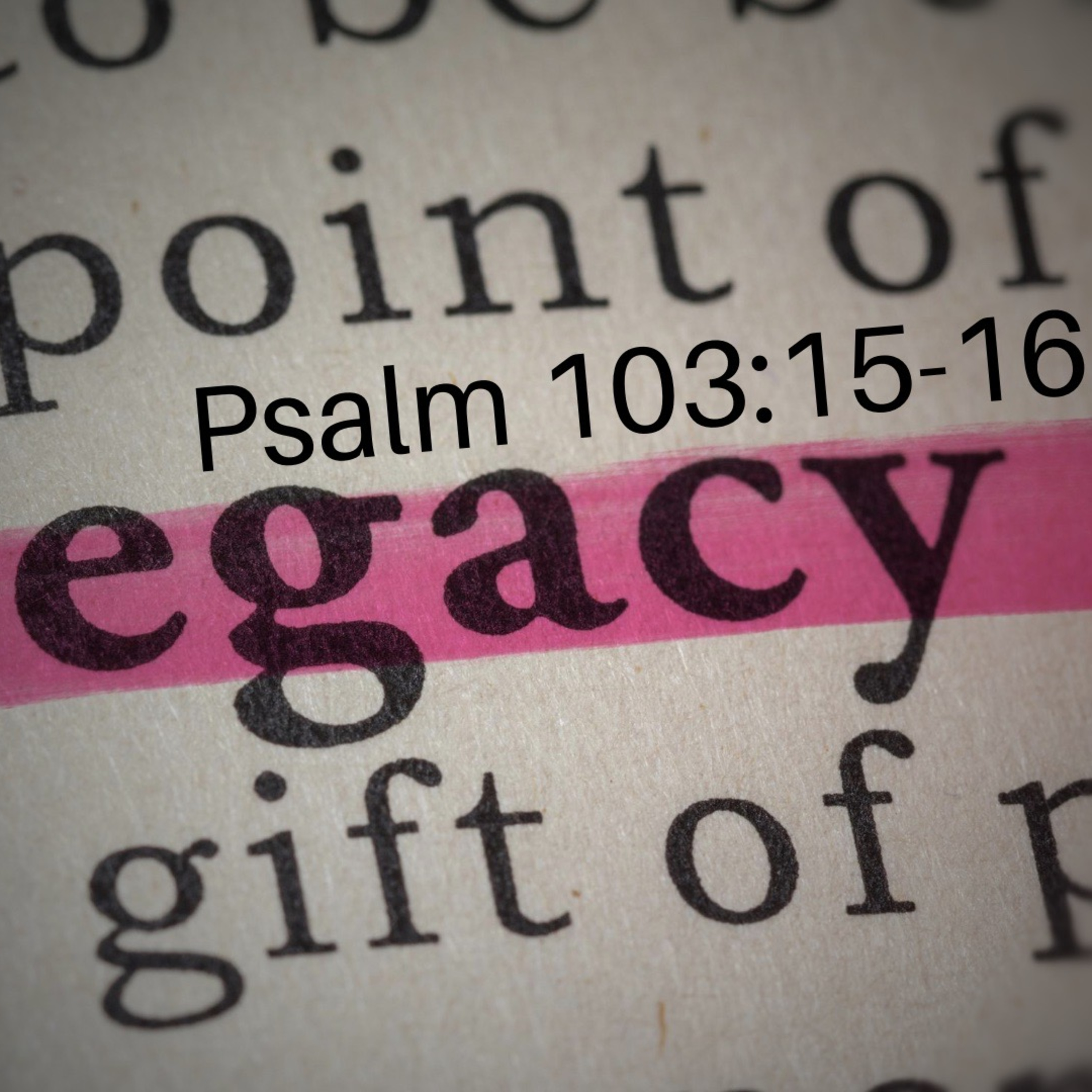 Grace Apostolic 08192020 episode artwork