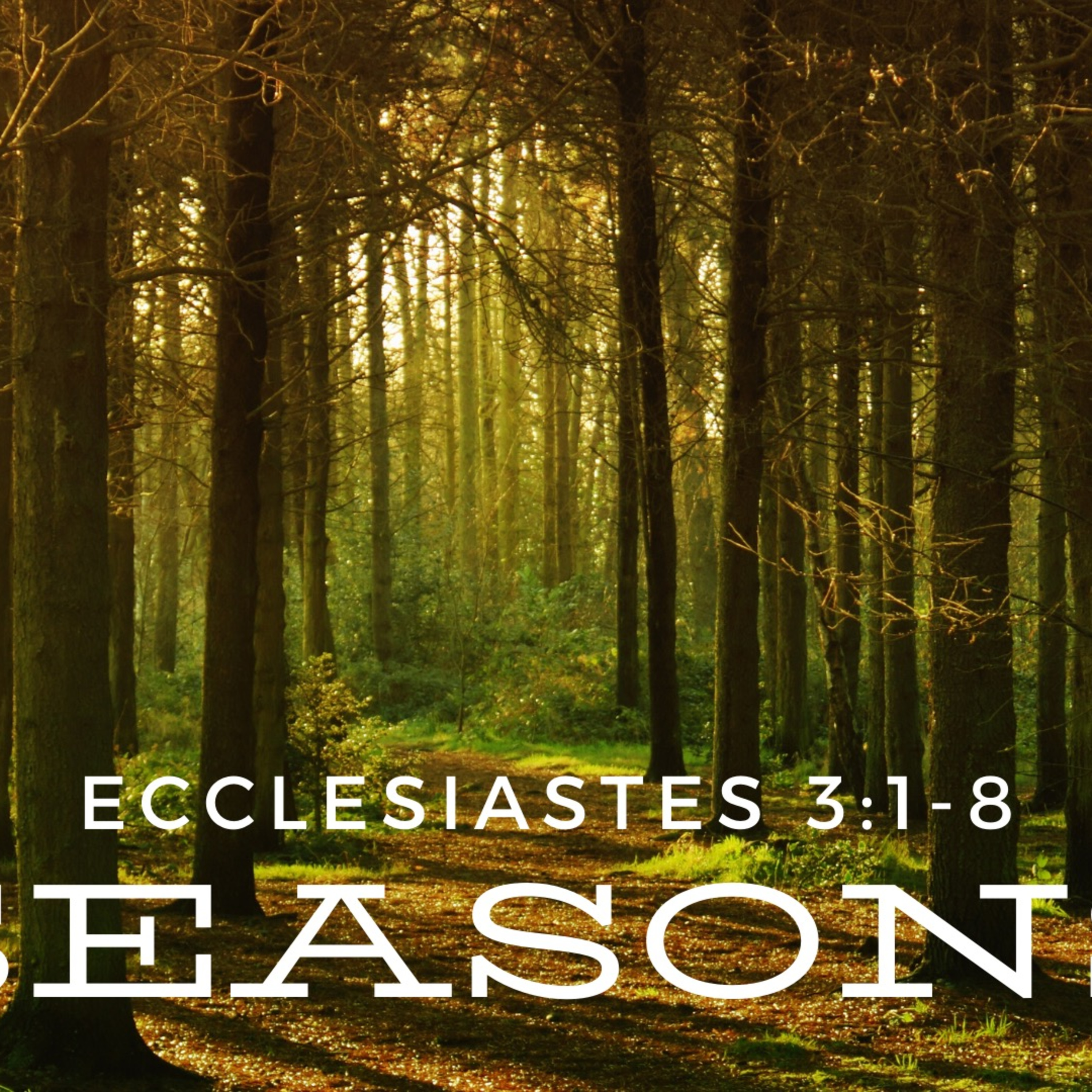 Grace Apostolic 02232020 episode artwork
