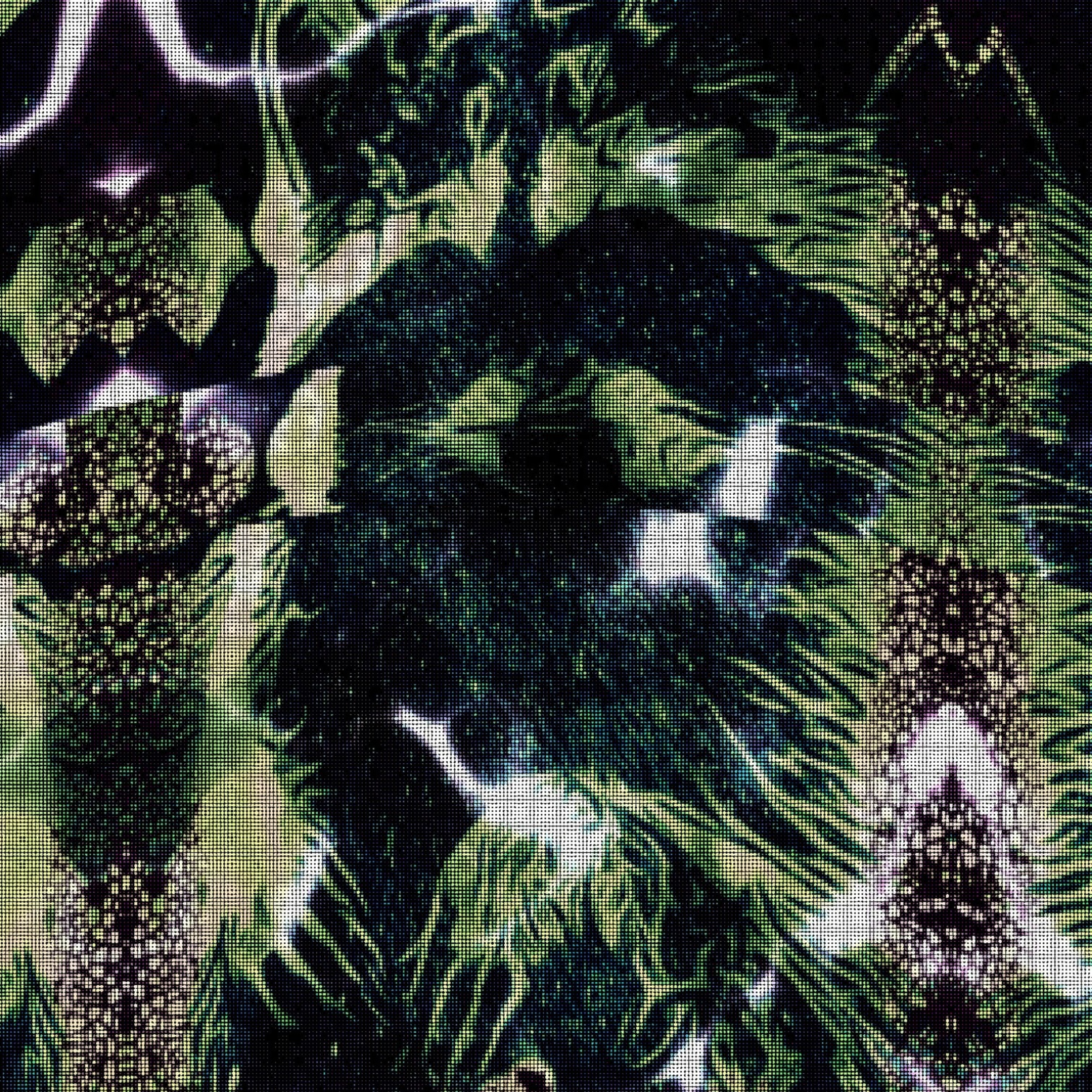 SPOOK SHOW BIGFOOT  episode artwork
