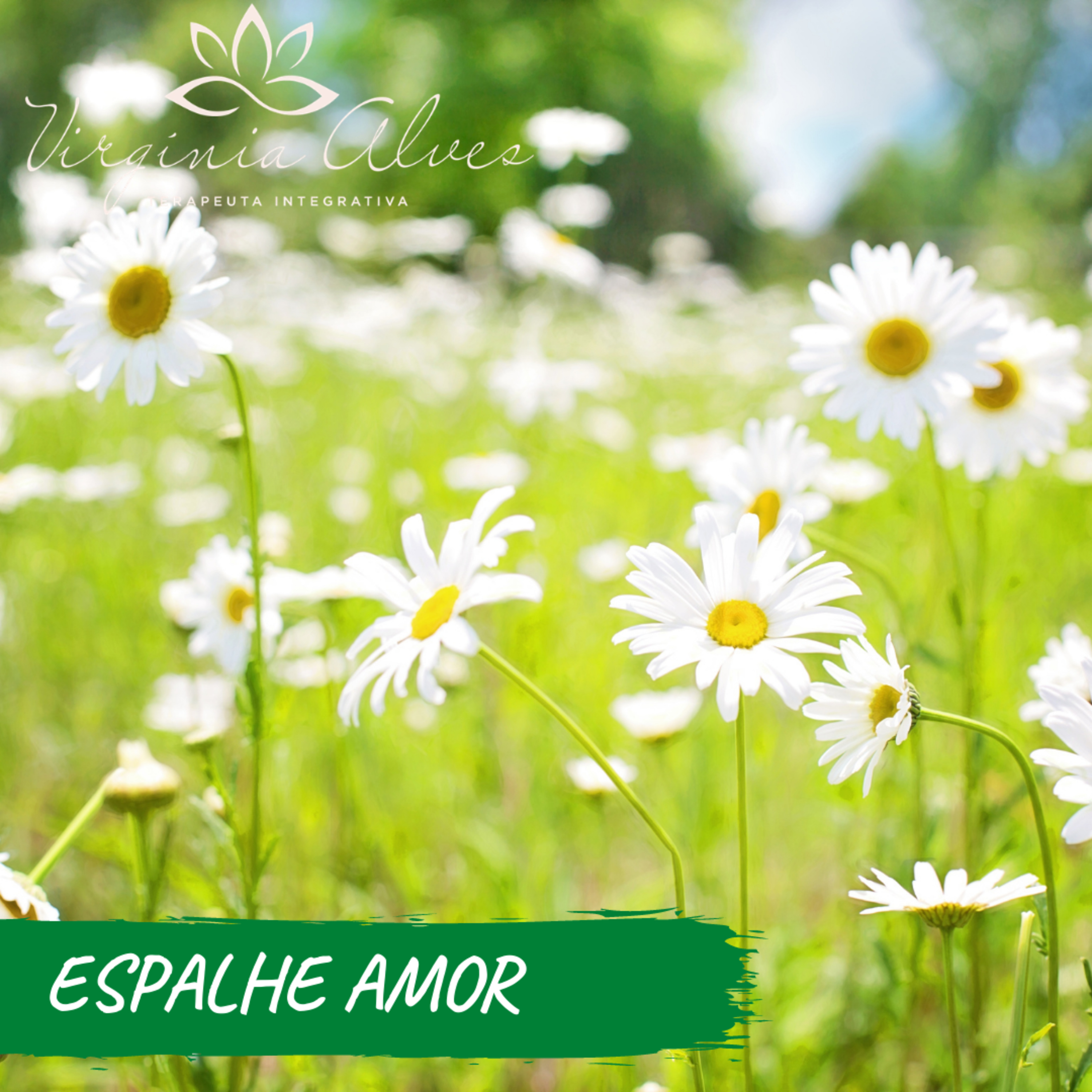 ESPALHE AMOR episode artwork