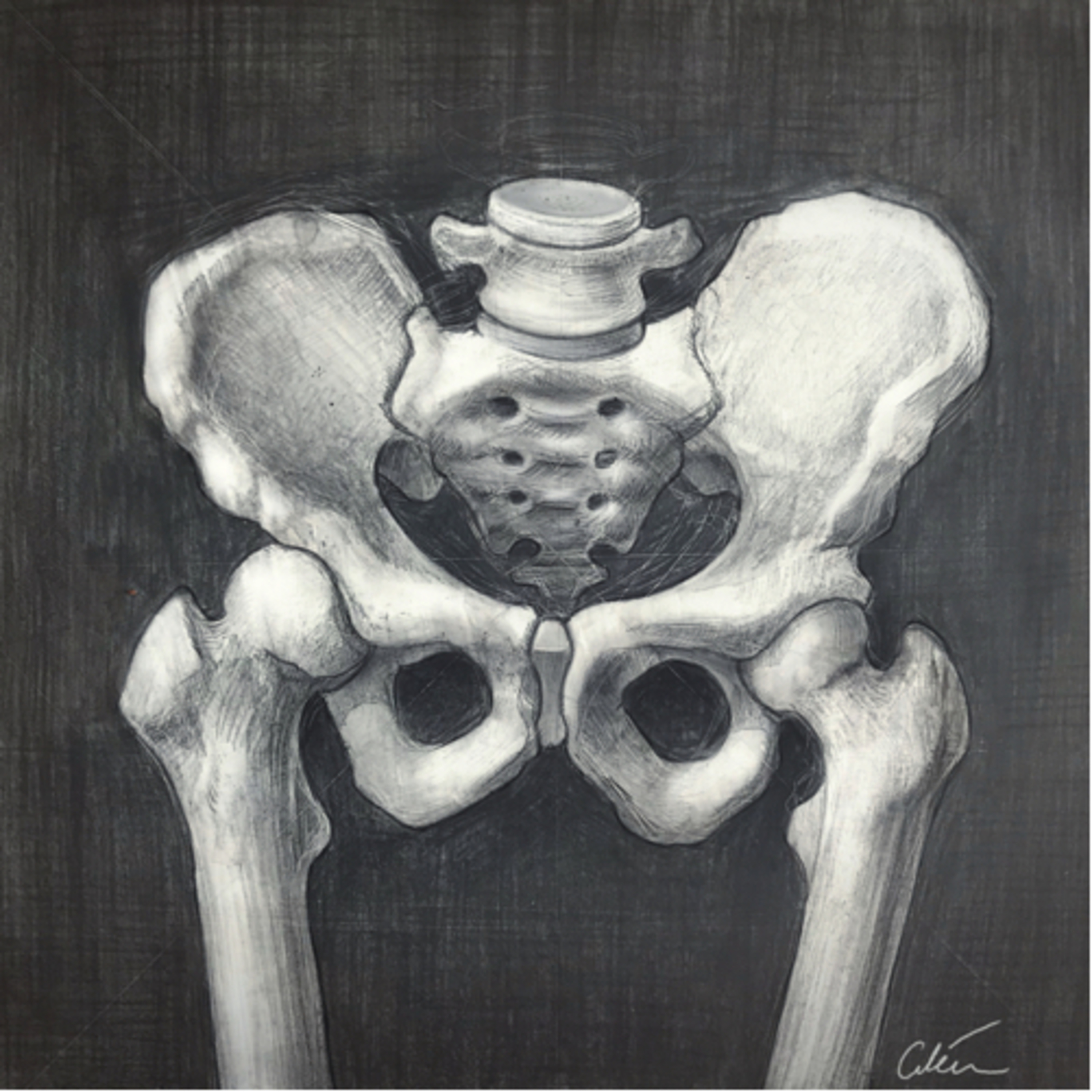 Medical Standardization Medical Standardization