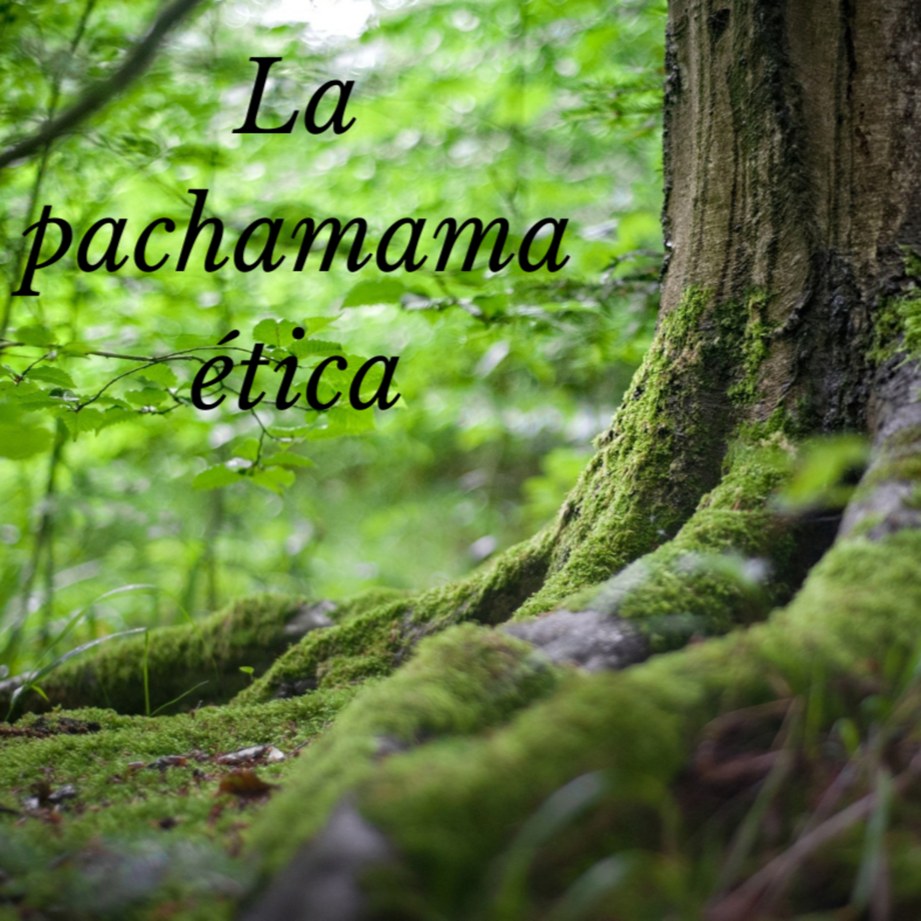La pachamama ética