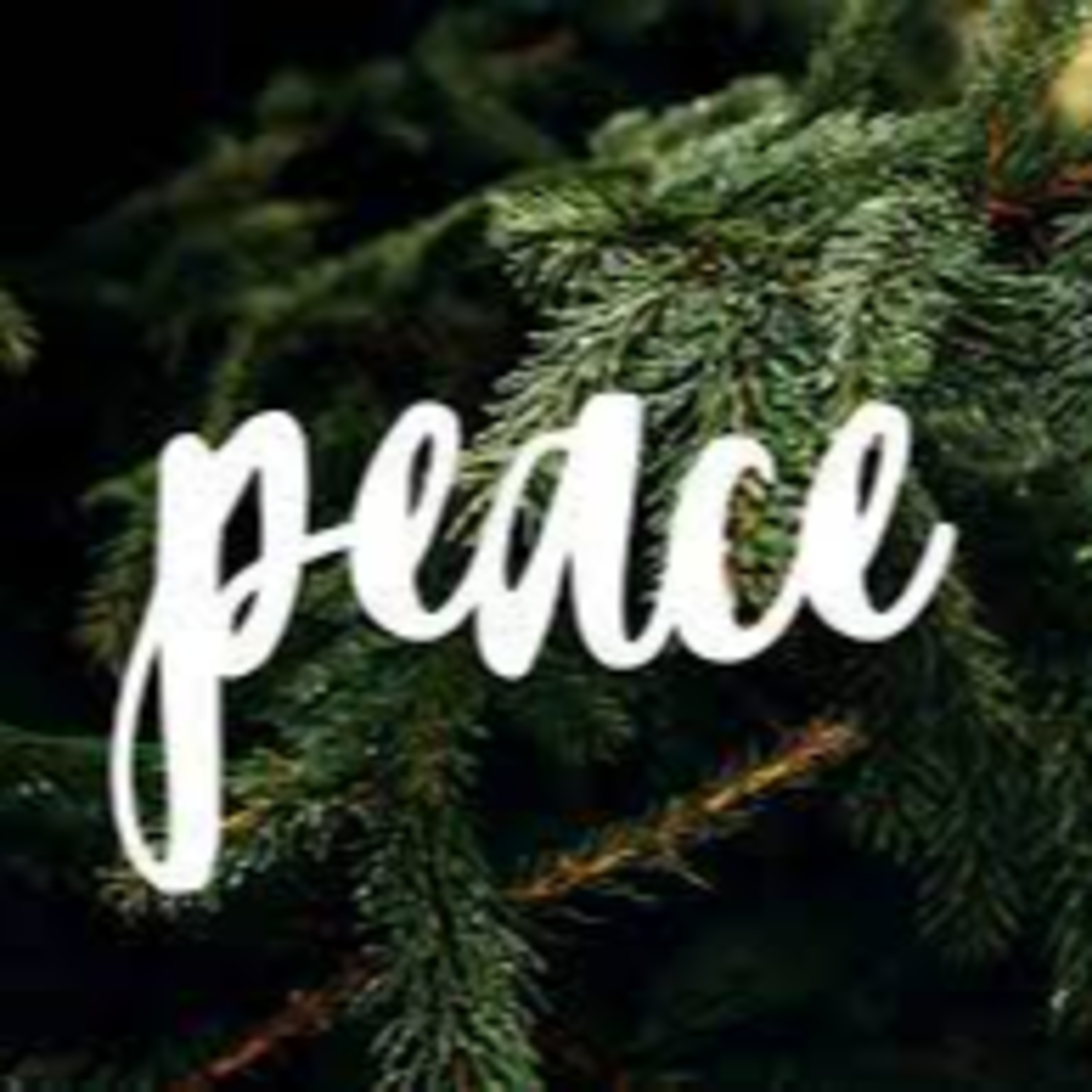 All Saints Burwood Sermon-Cast