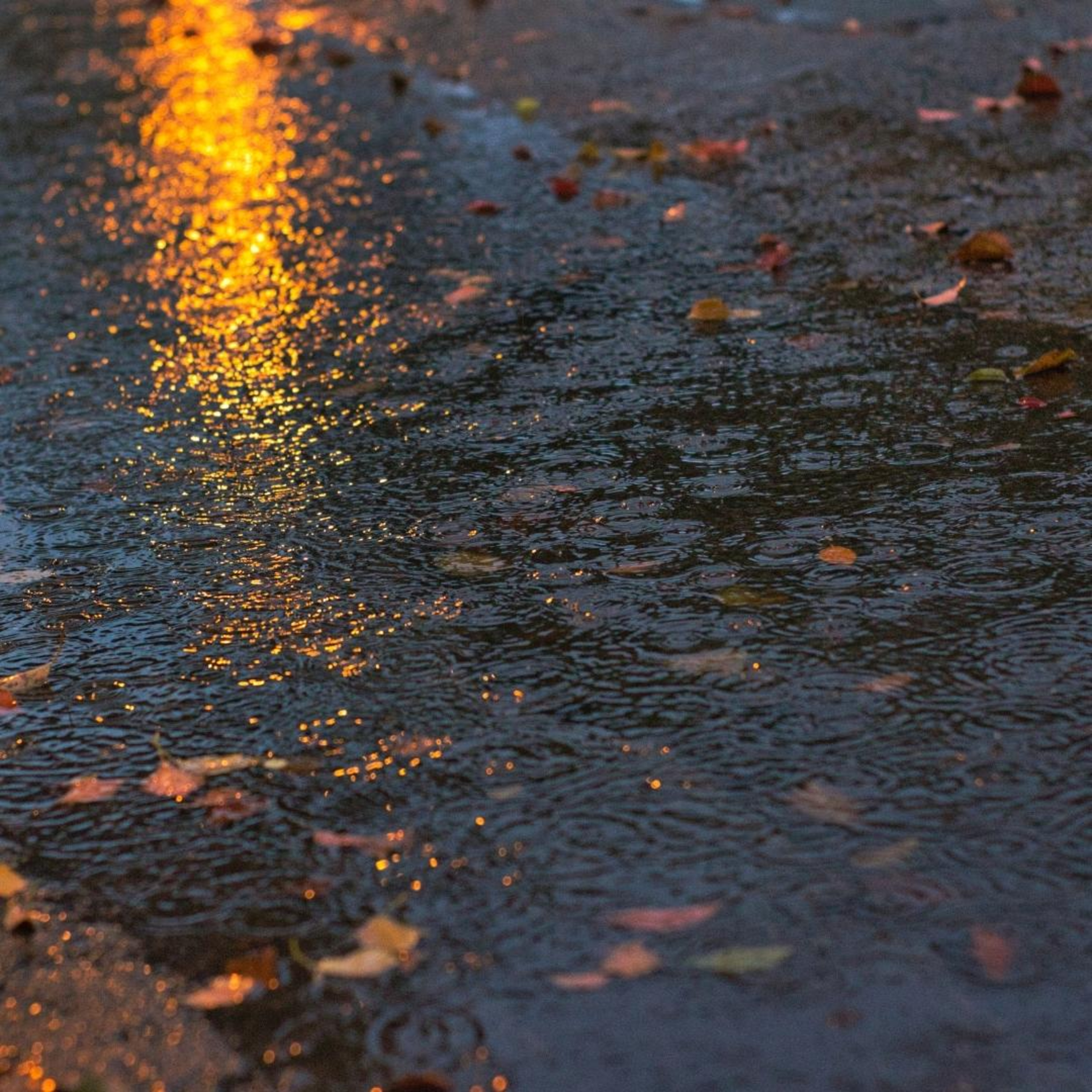 Sonidos Relajantes De Lluvia Rain Sounds For Sleeping Summer Rain Meditation