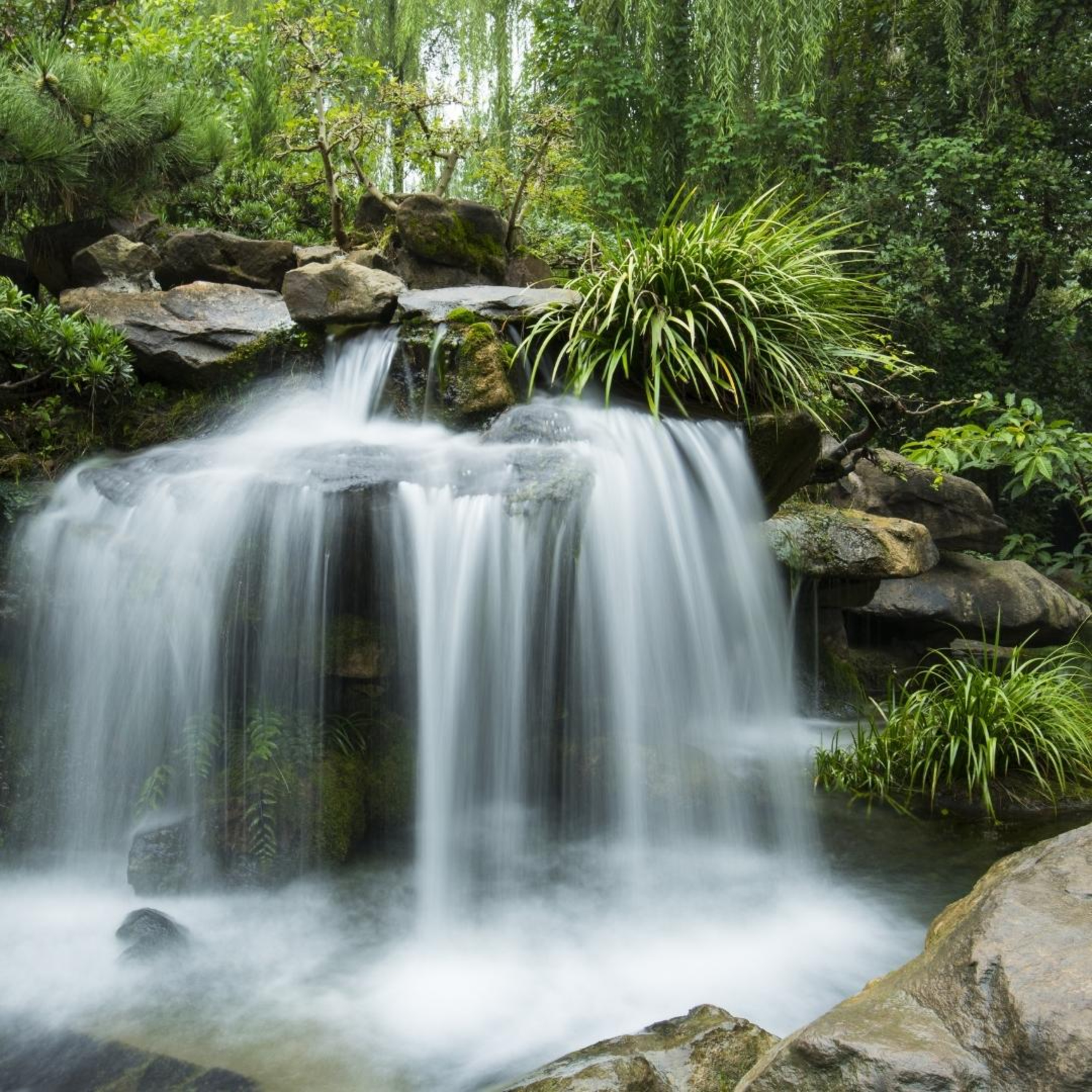 Cascada Sonidos De La Naturaleza (Cascada y Sonidos Dela Jungla Pajaros Cantan En Elinterios De La Jungla Muy Relajante)