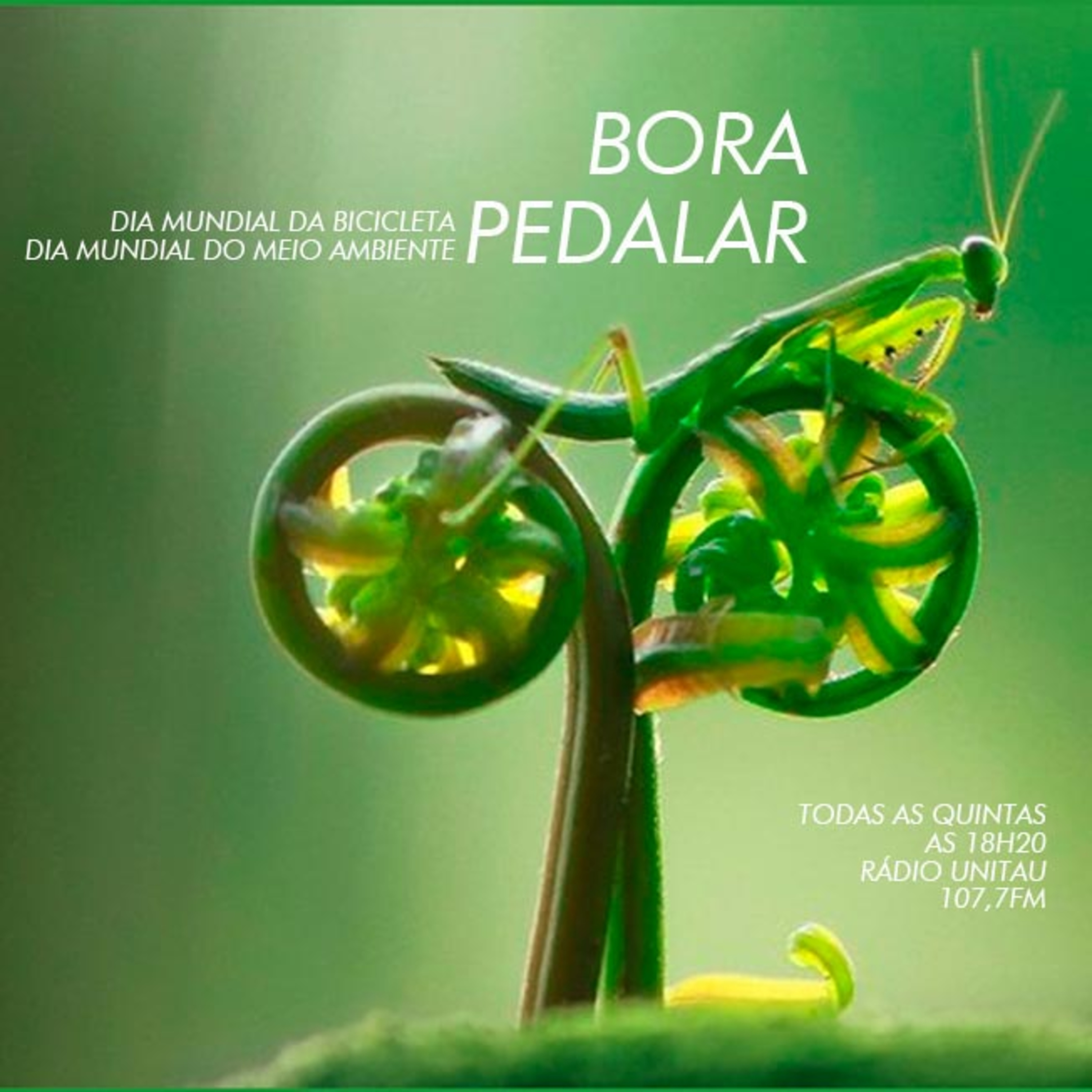 Rádio Peba