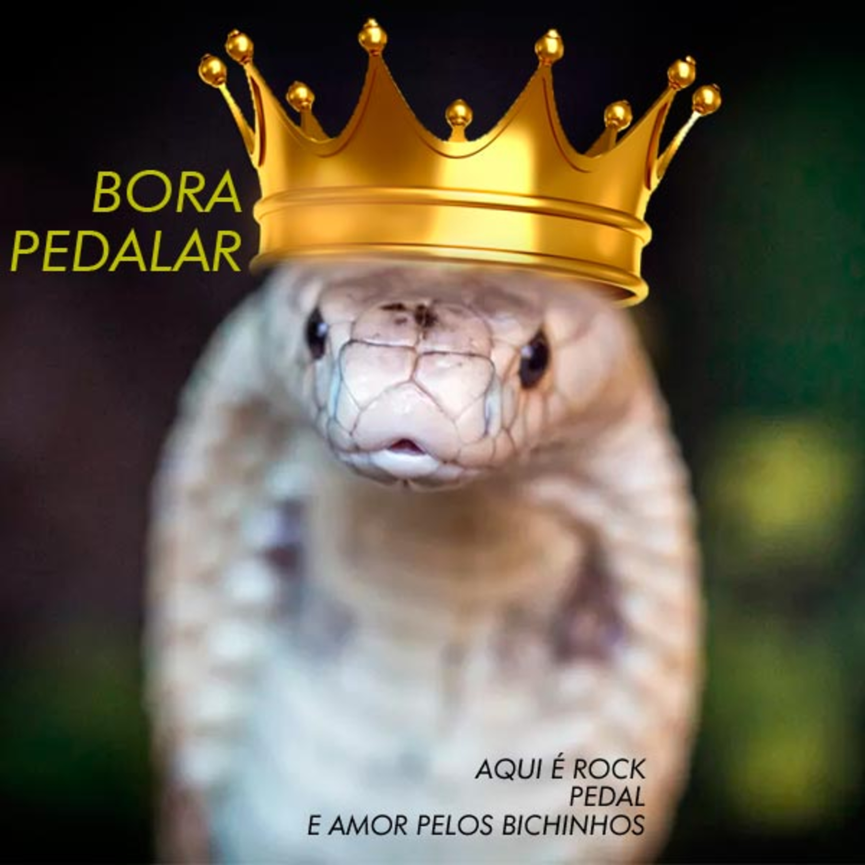 Rádio Peba