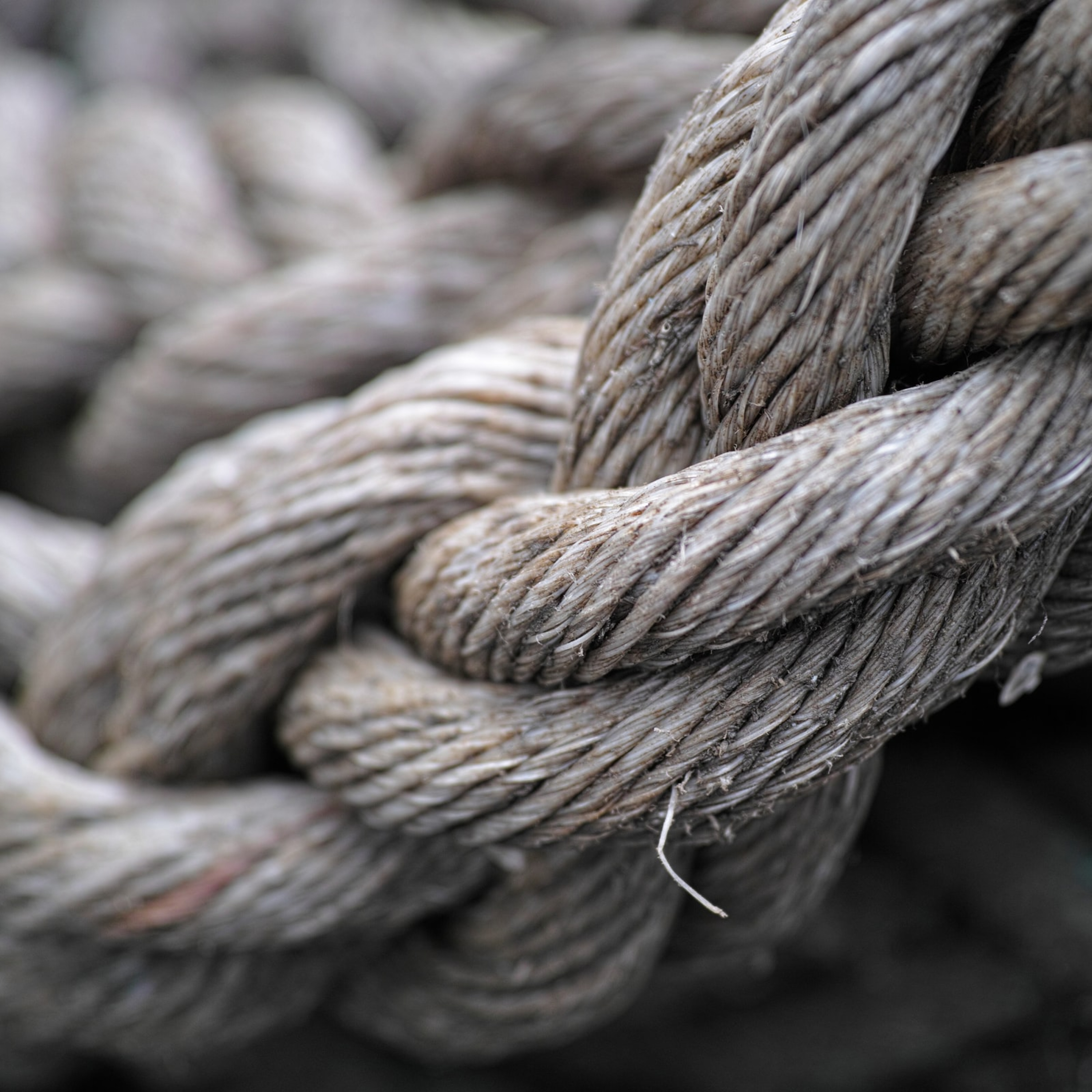 Beyond Borders by GCAF Manila