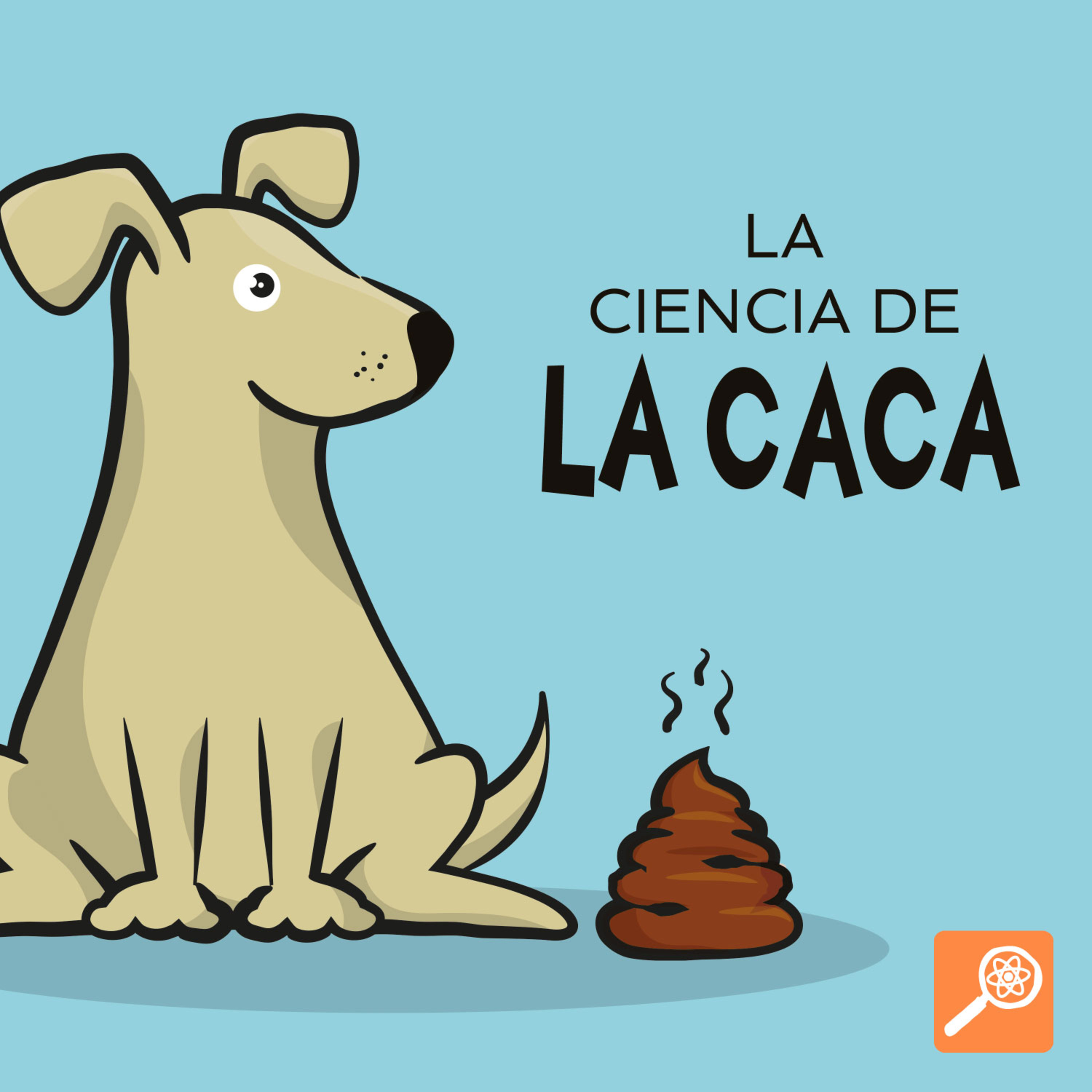 Tumble en Español