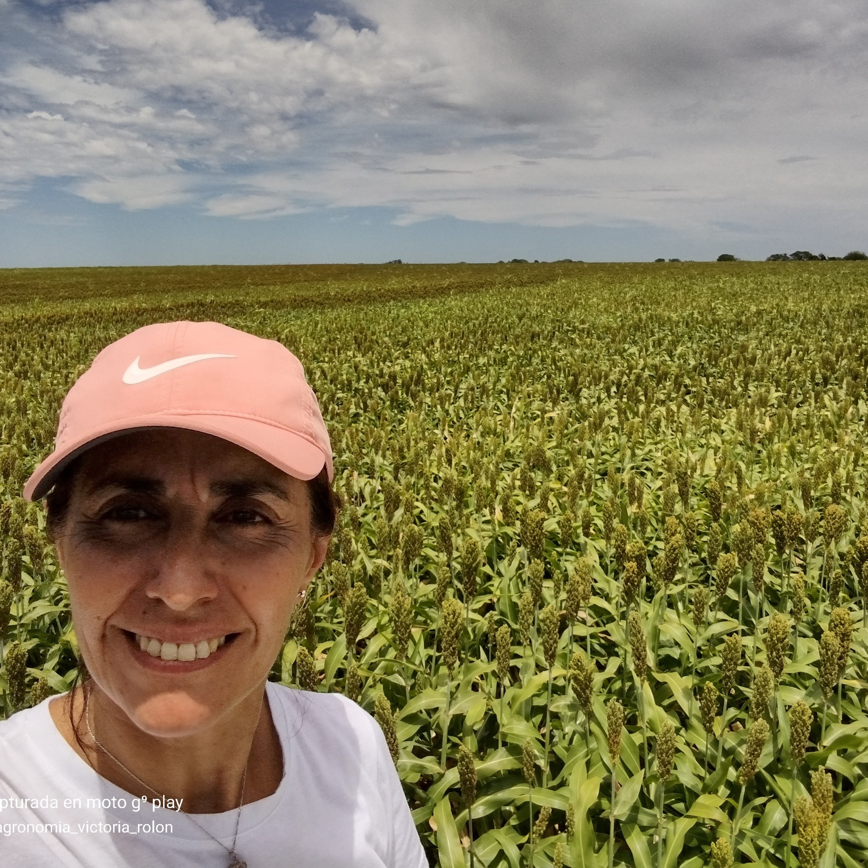 Agroecología ¿Para qué sirve?