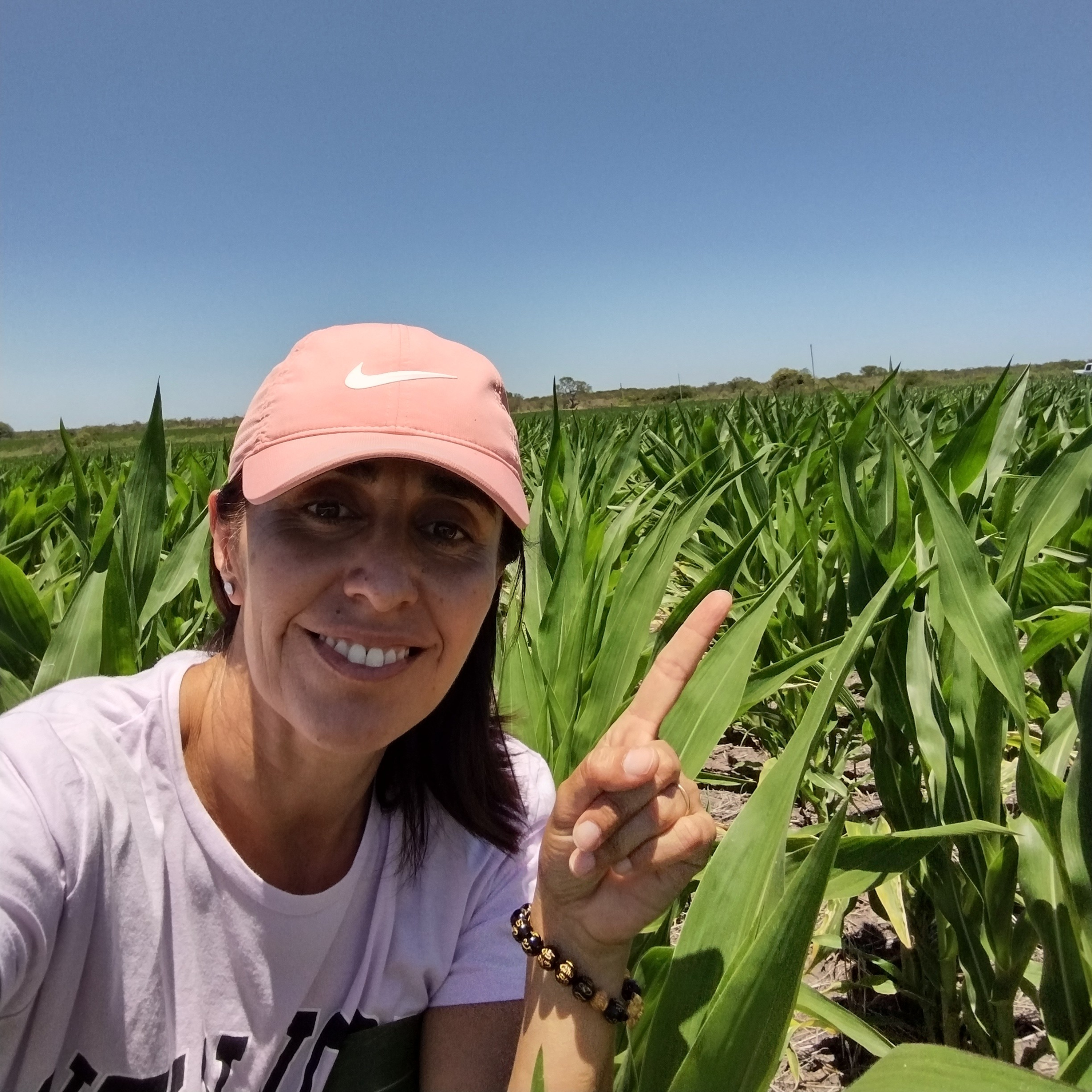 Controladores biológicos en sorgo