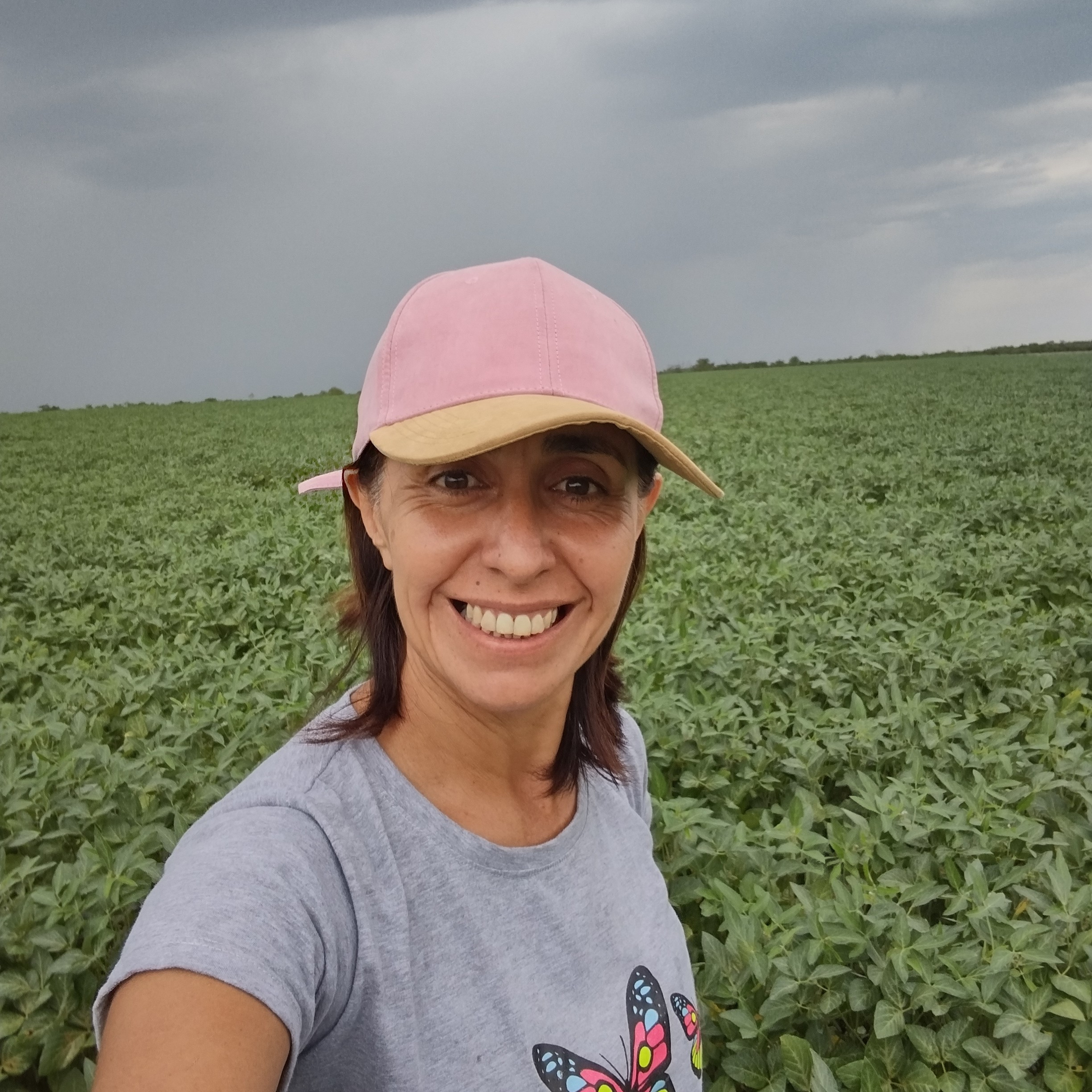 Soja. Estado del cultivo