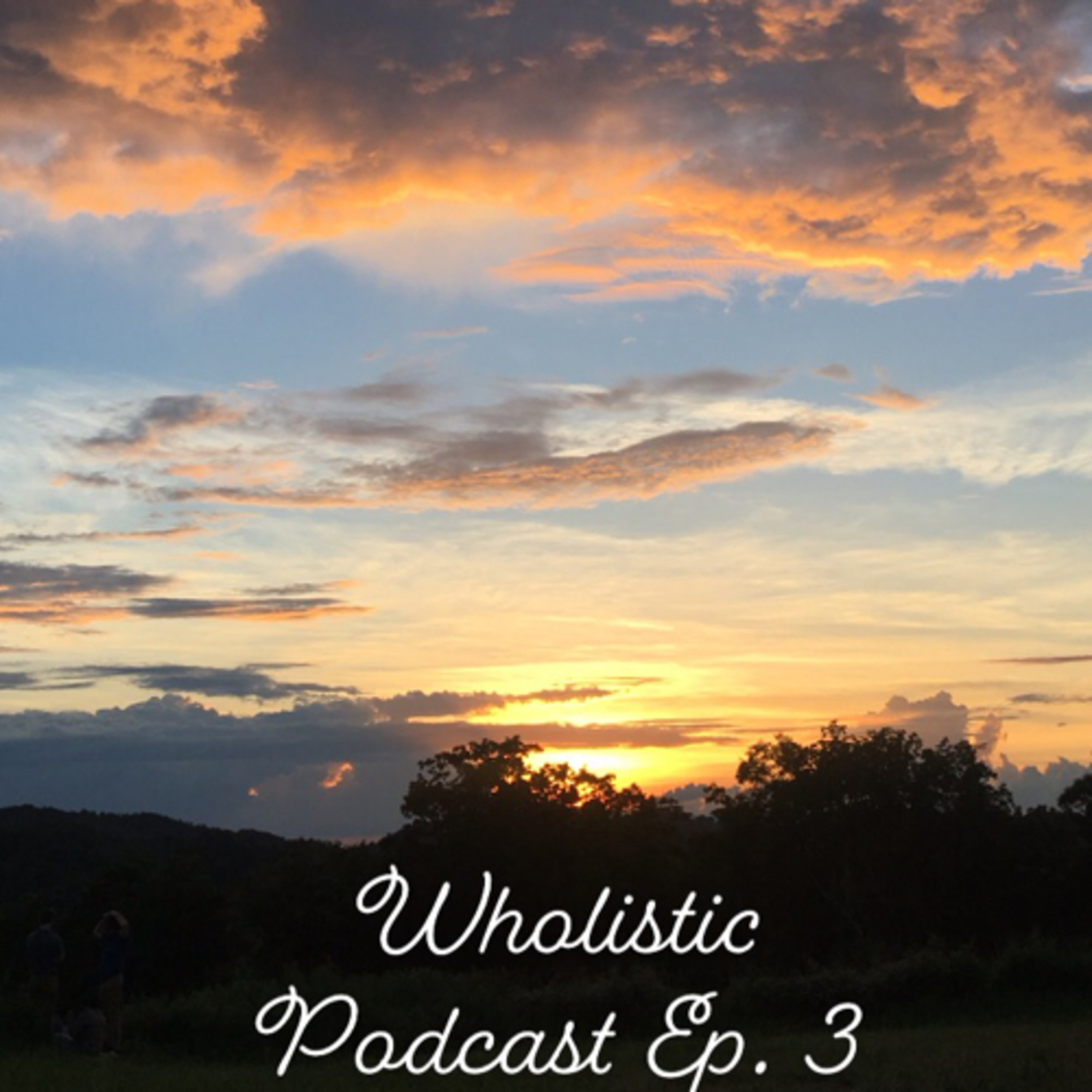 Wholistic Podcast Episode 3 episode artwork