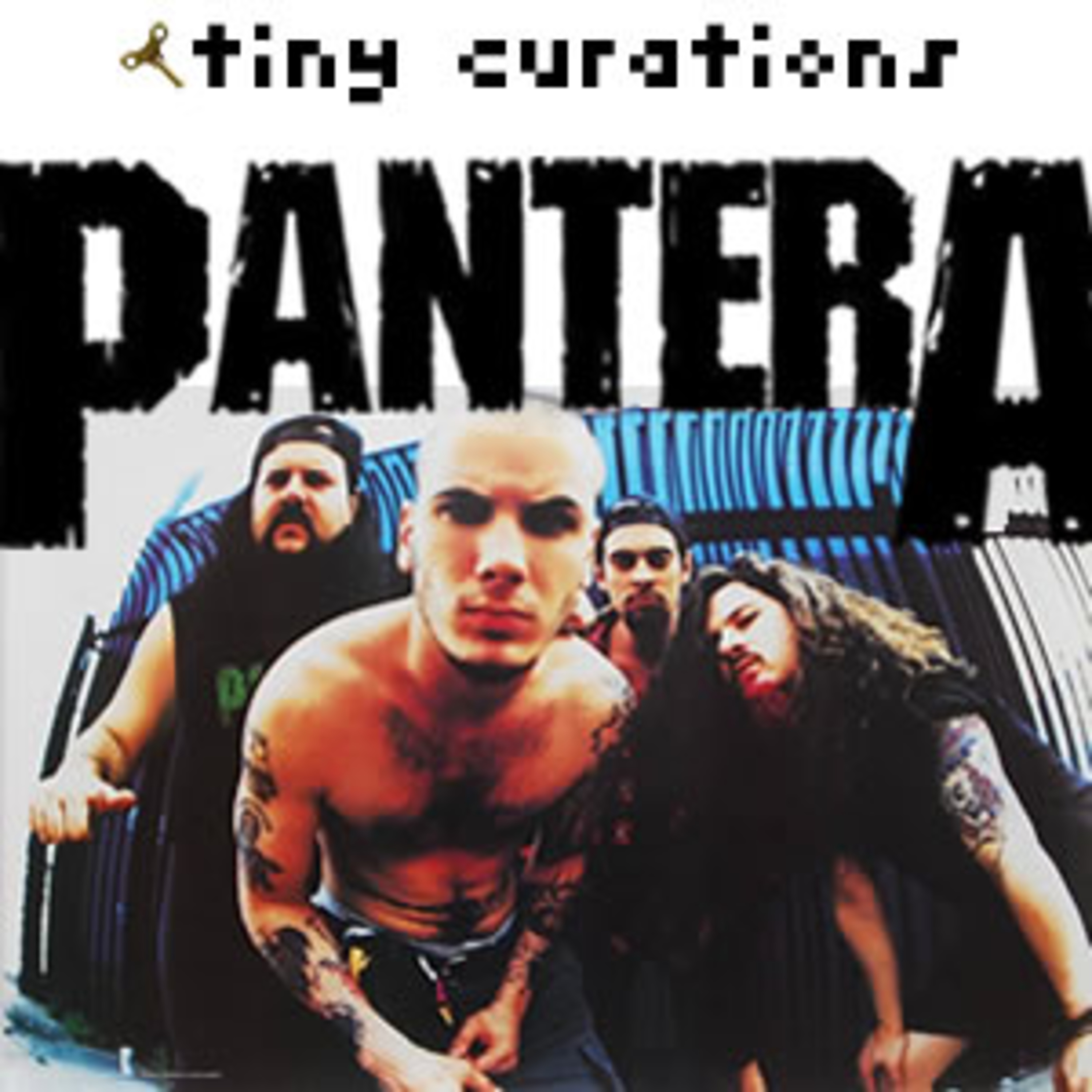 tiny curations