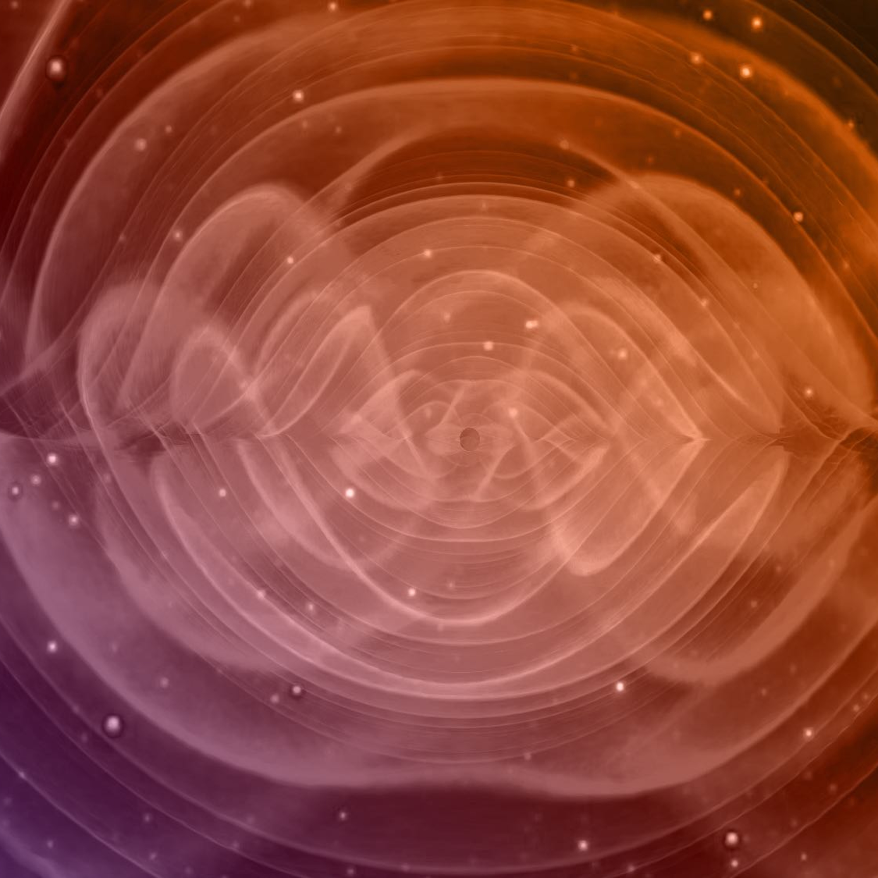 Dolphin Dive - An East Shore Podcast