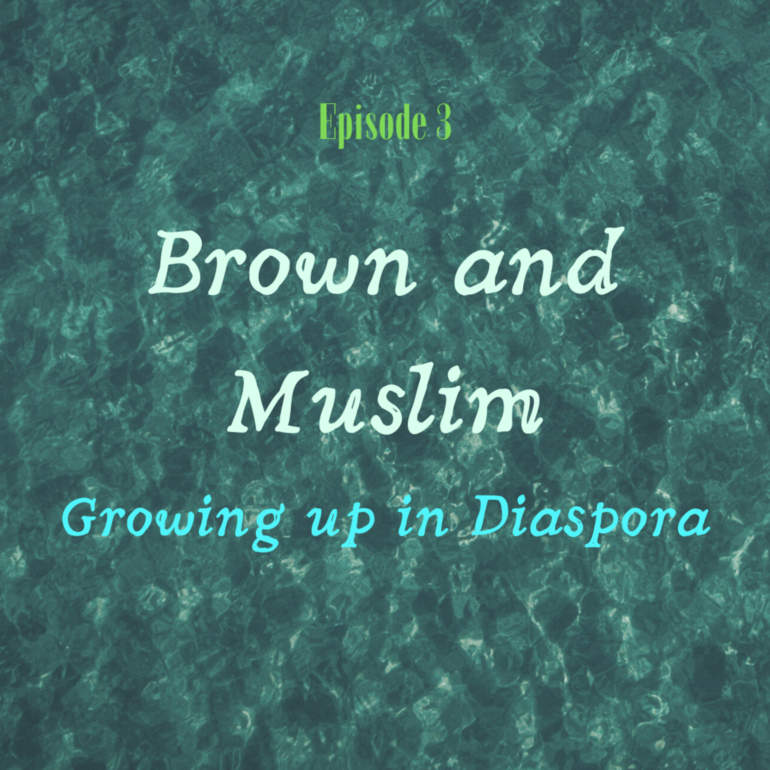 Episode 3: Growing up in Diaspora - Ethnic and Muslim episode artwork