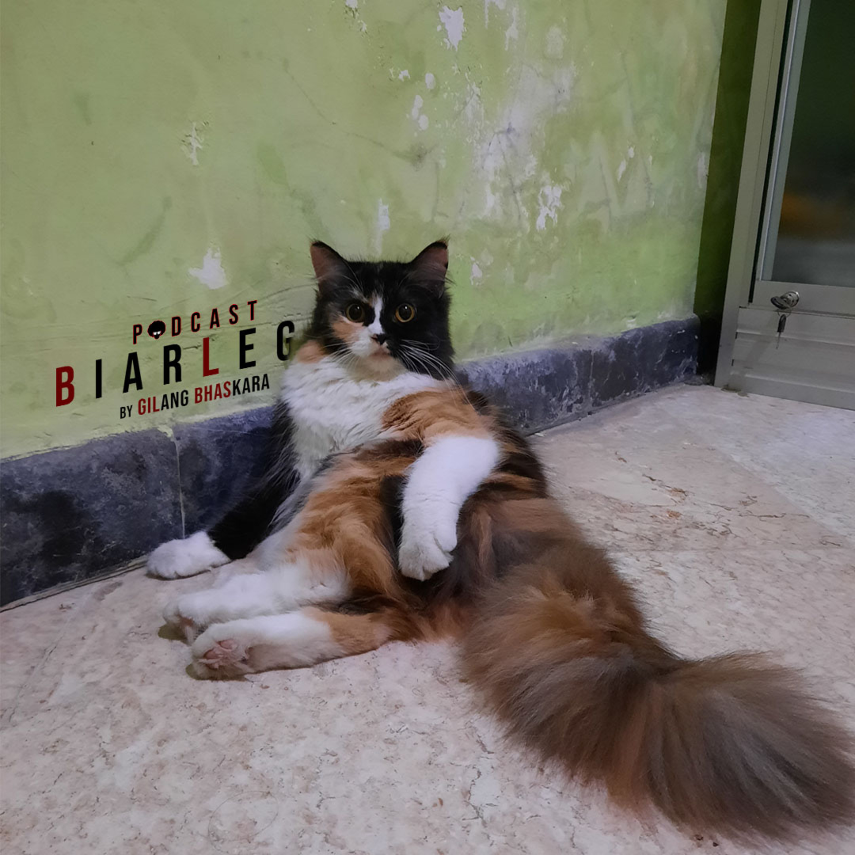 BiarLega