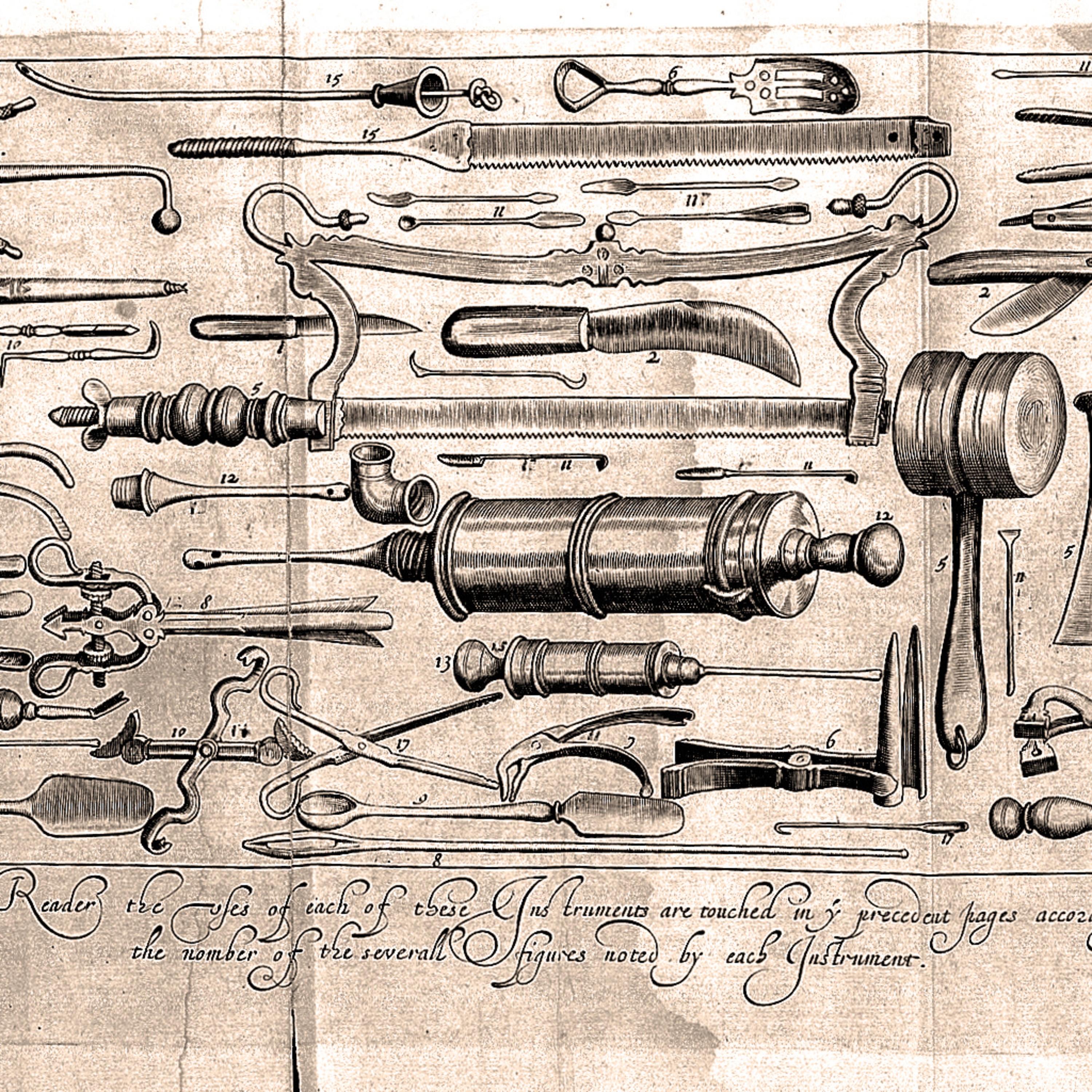 Jamestown Settlement- A Brief & Gruesome Medical History  episode artwork