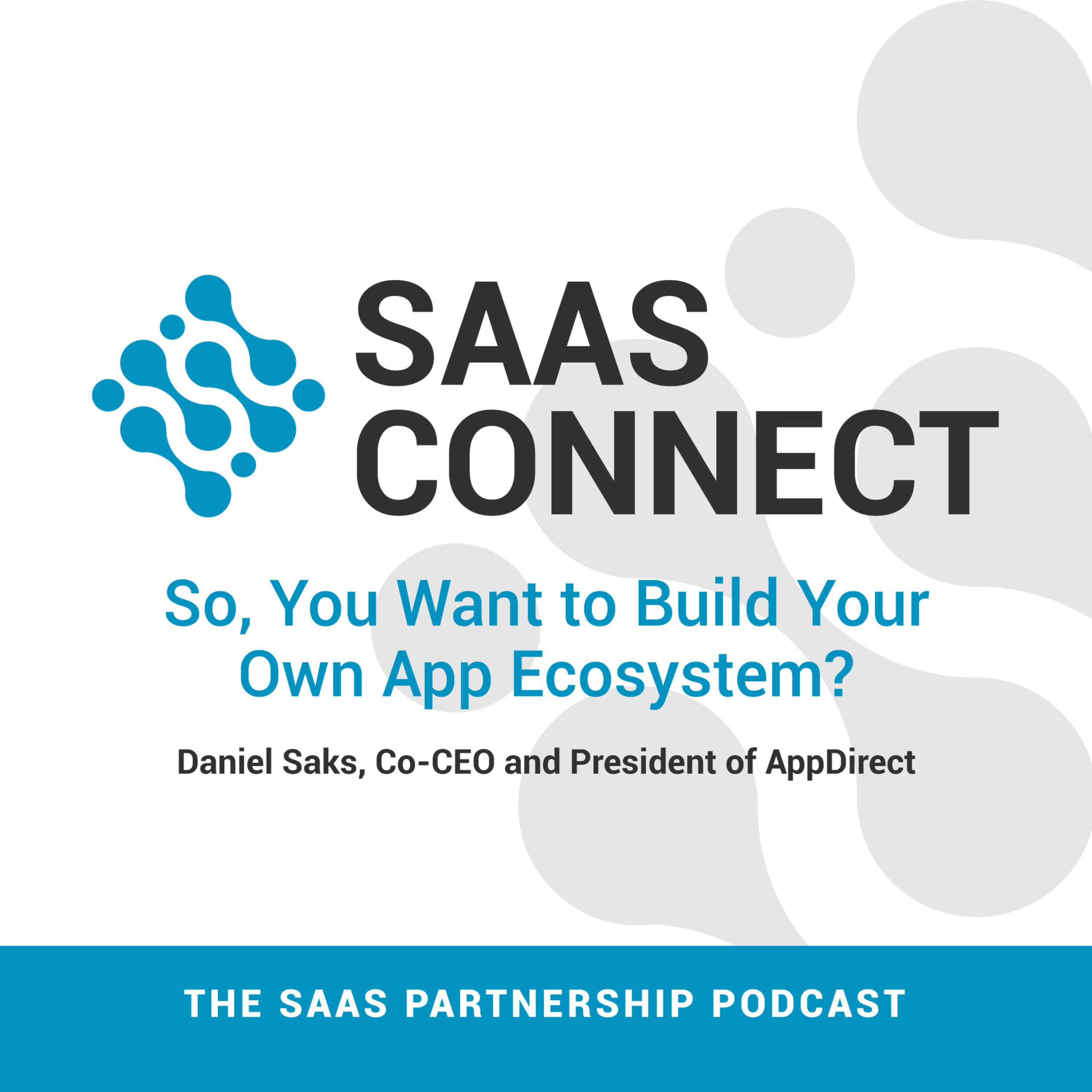 SaaS Connect - SaaS Partnerships & SaaS Leaders