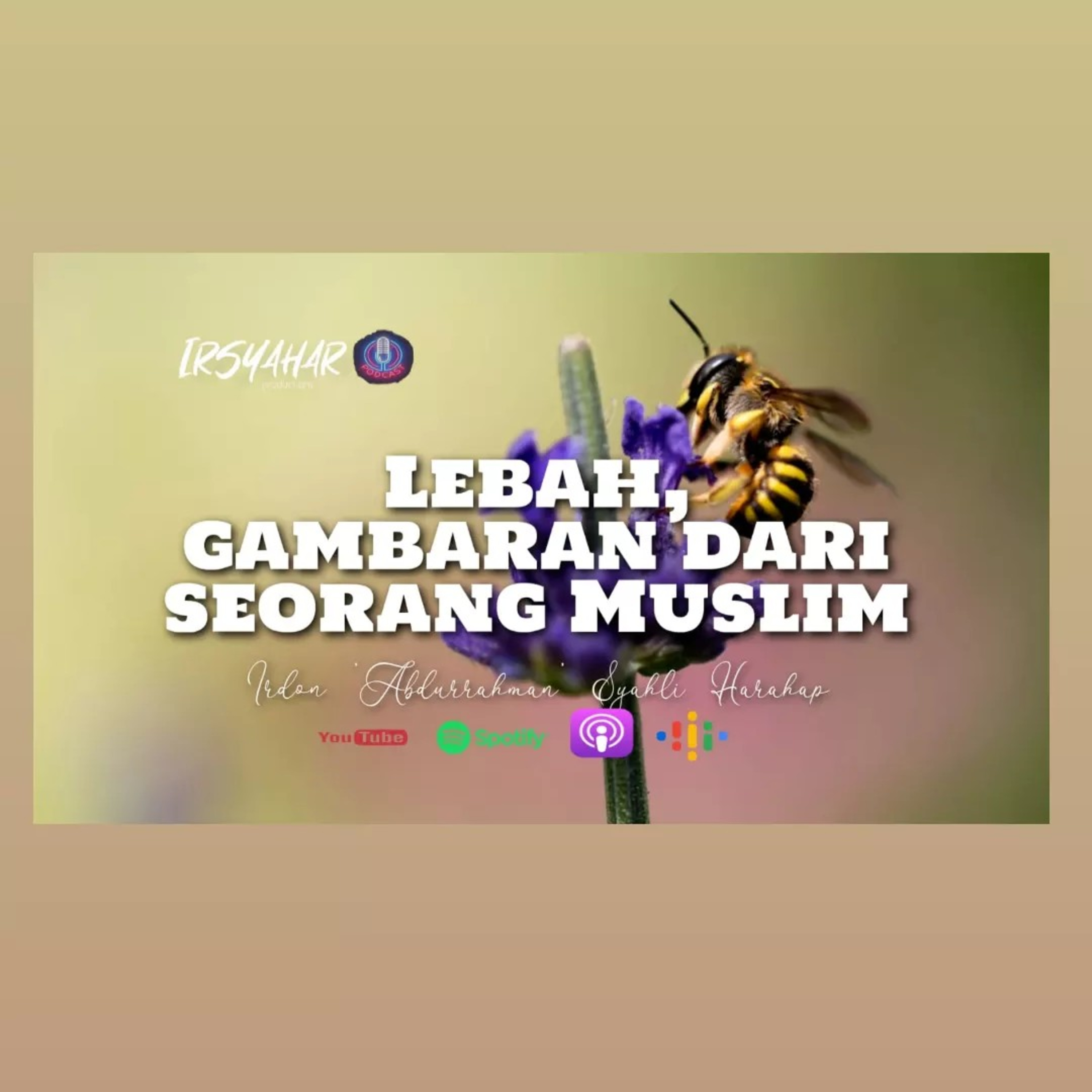 Lebah, Gambaran Dari Seorang Muslim episode artwork