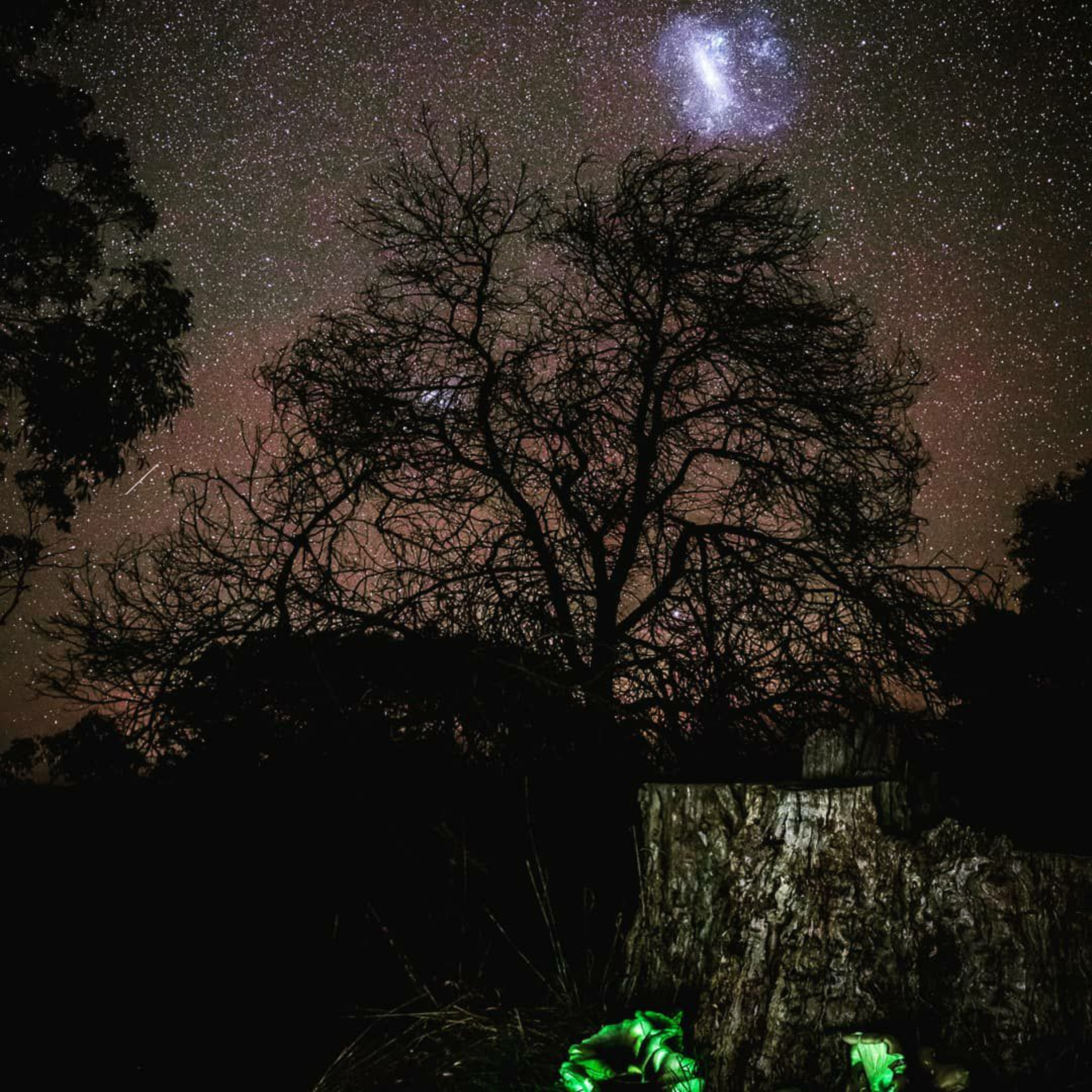 سایبان episode artwork