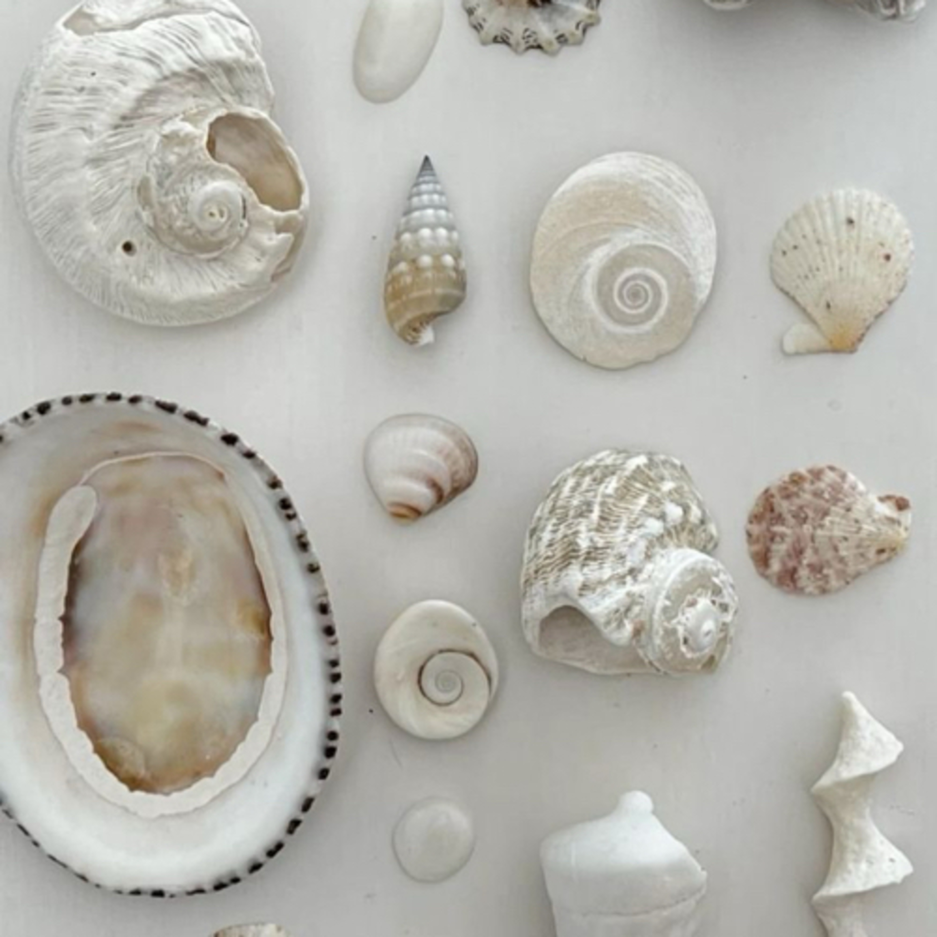 -Medita con Martina- Crescita personale!