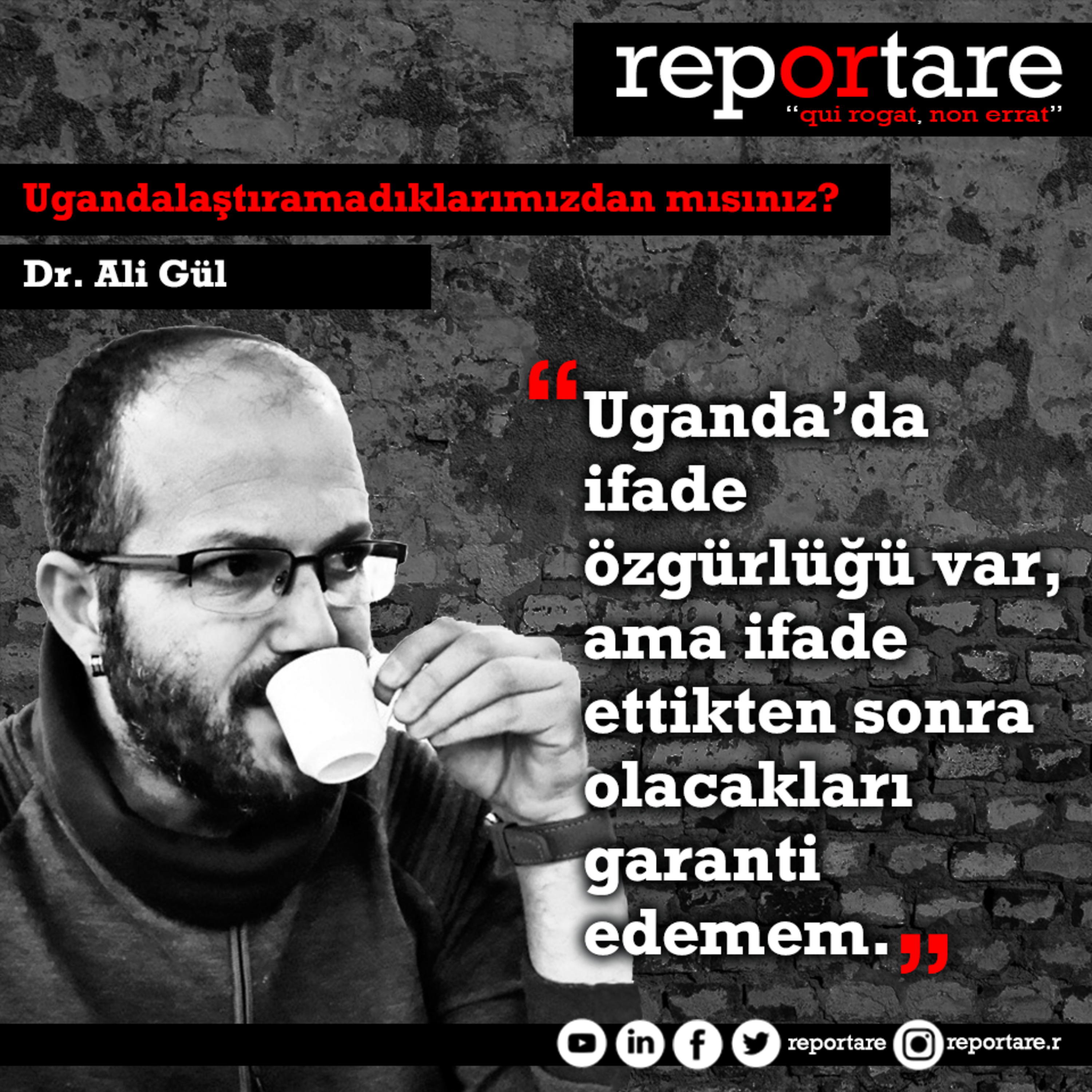 Reportare