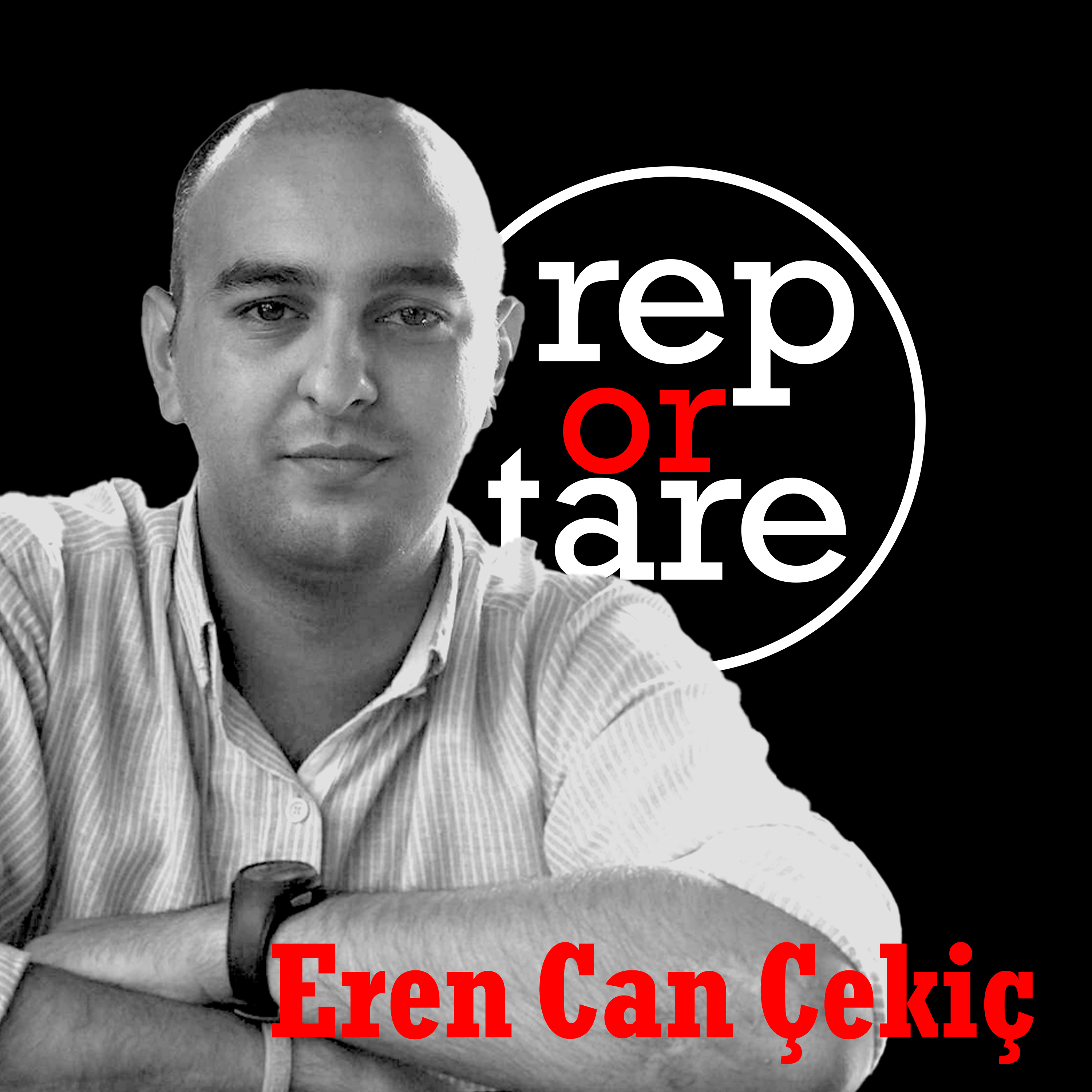 Reportare