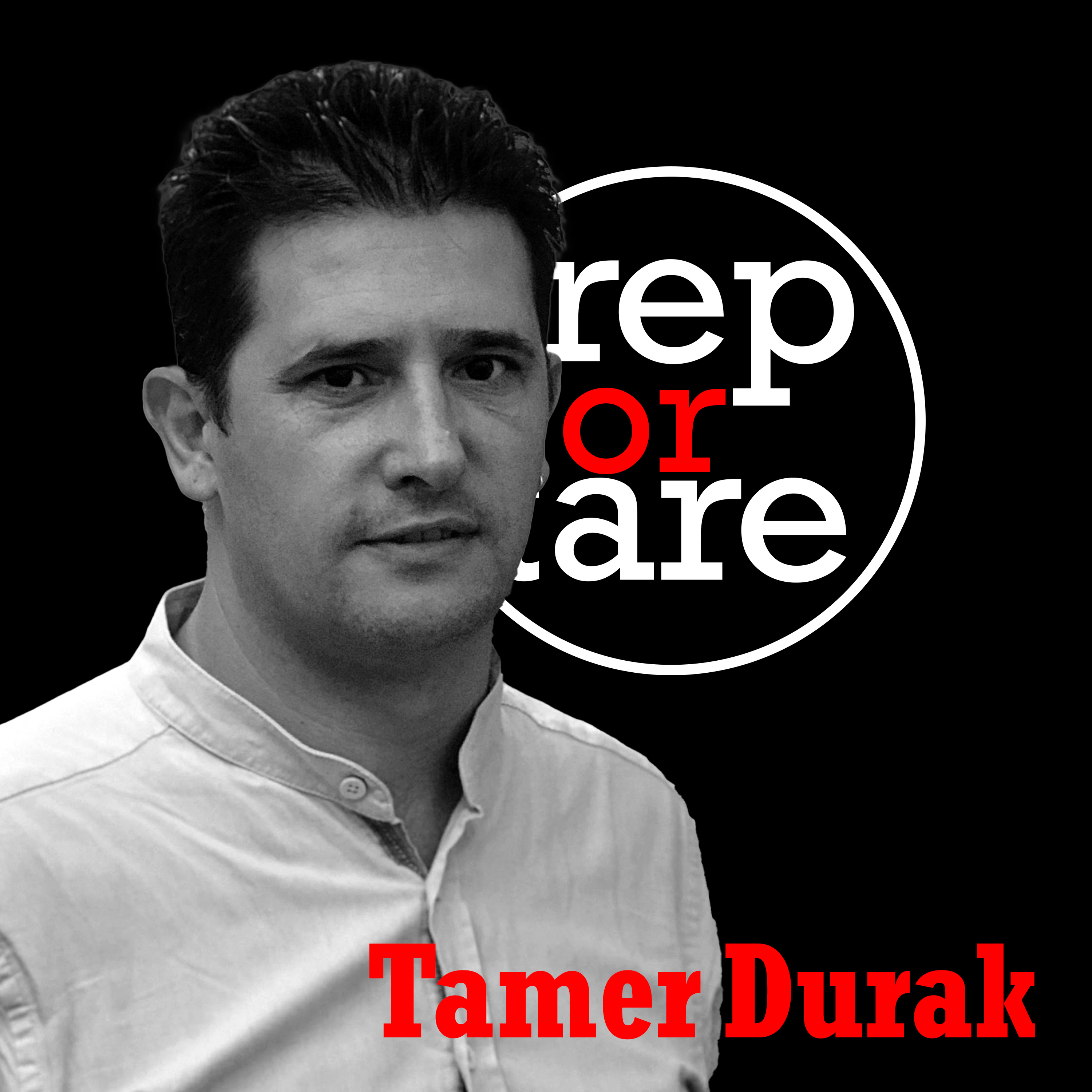 Reportare