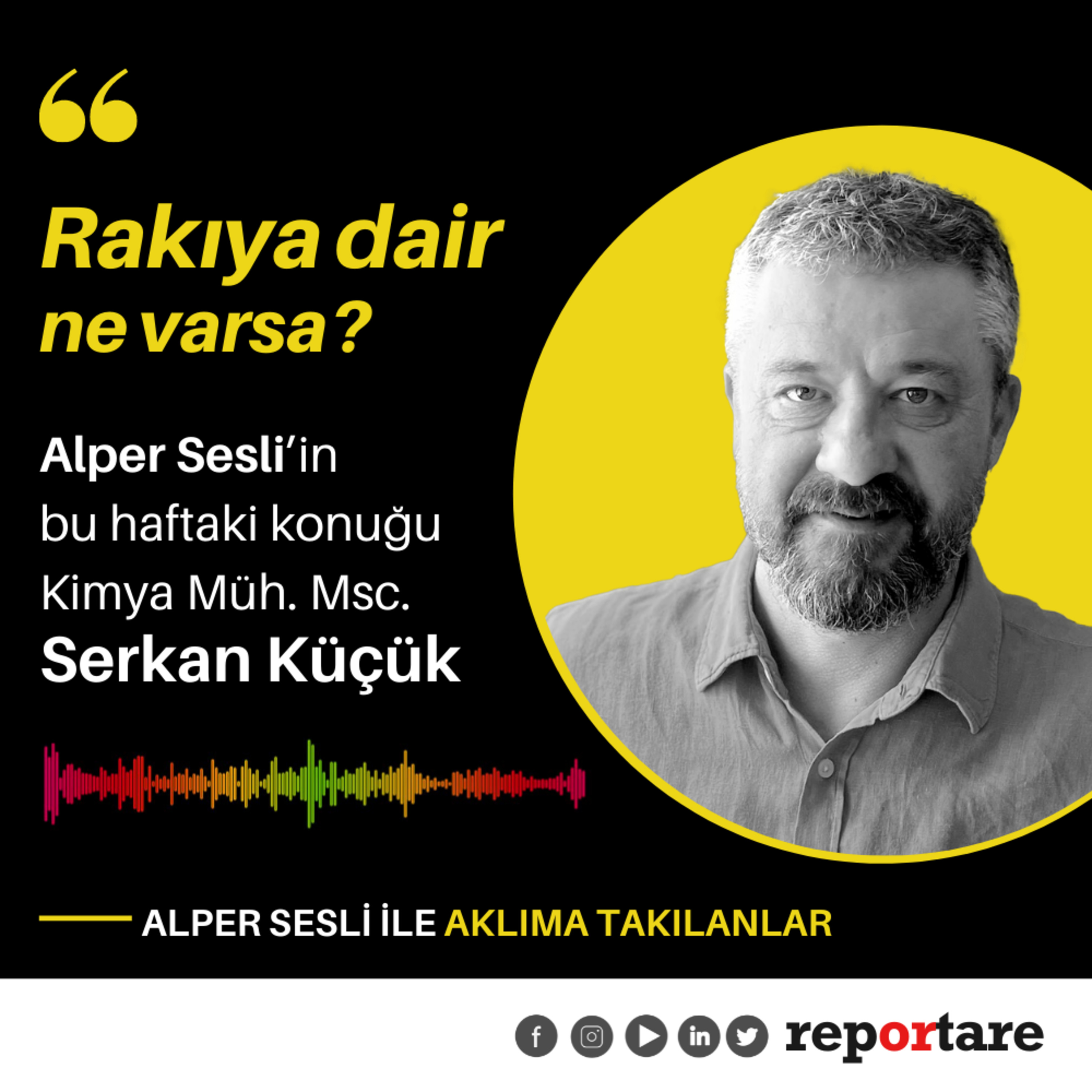 Reportare