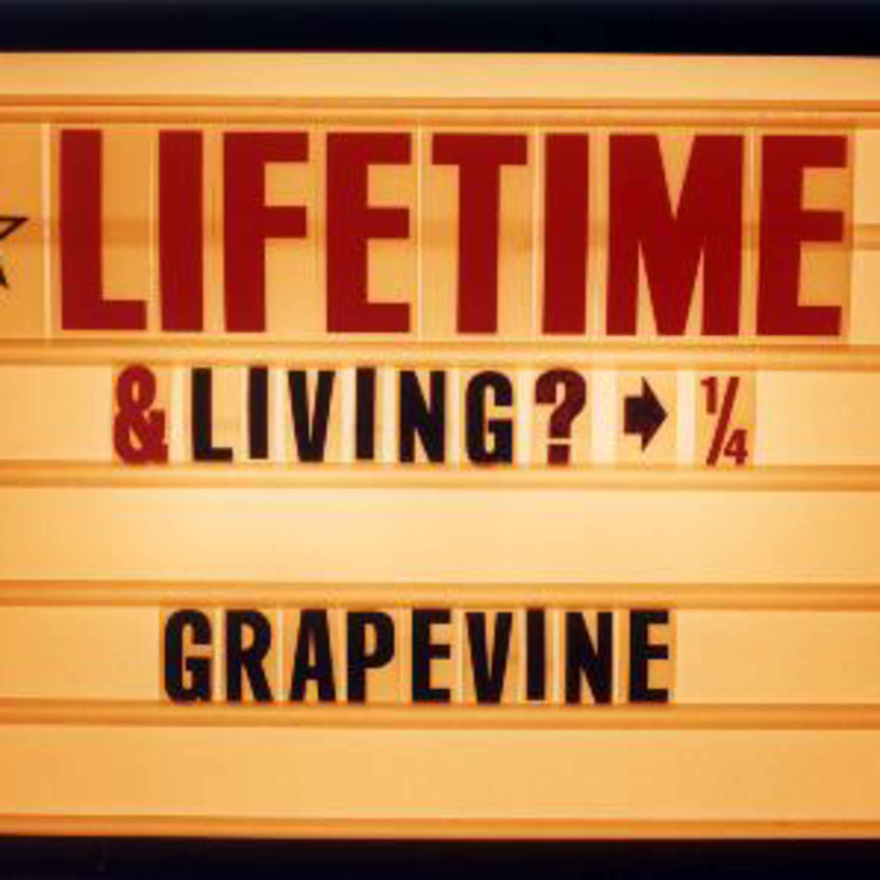 088. 人生を変えた一枚、GRAPEVINE "Lifetime" episode artwork