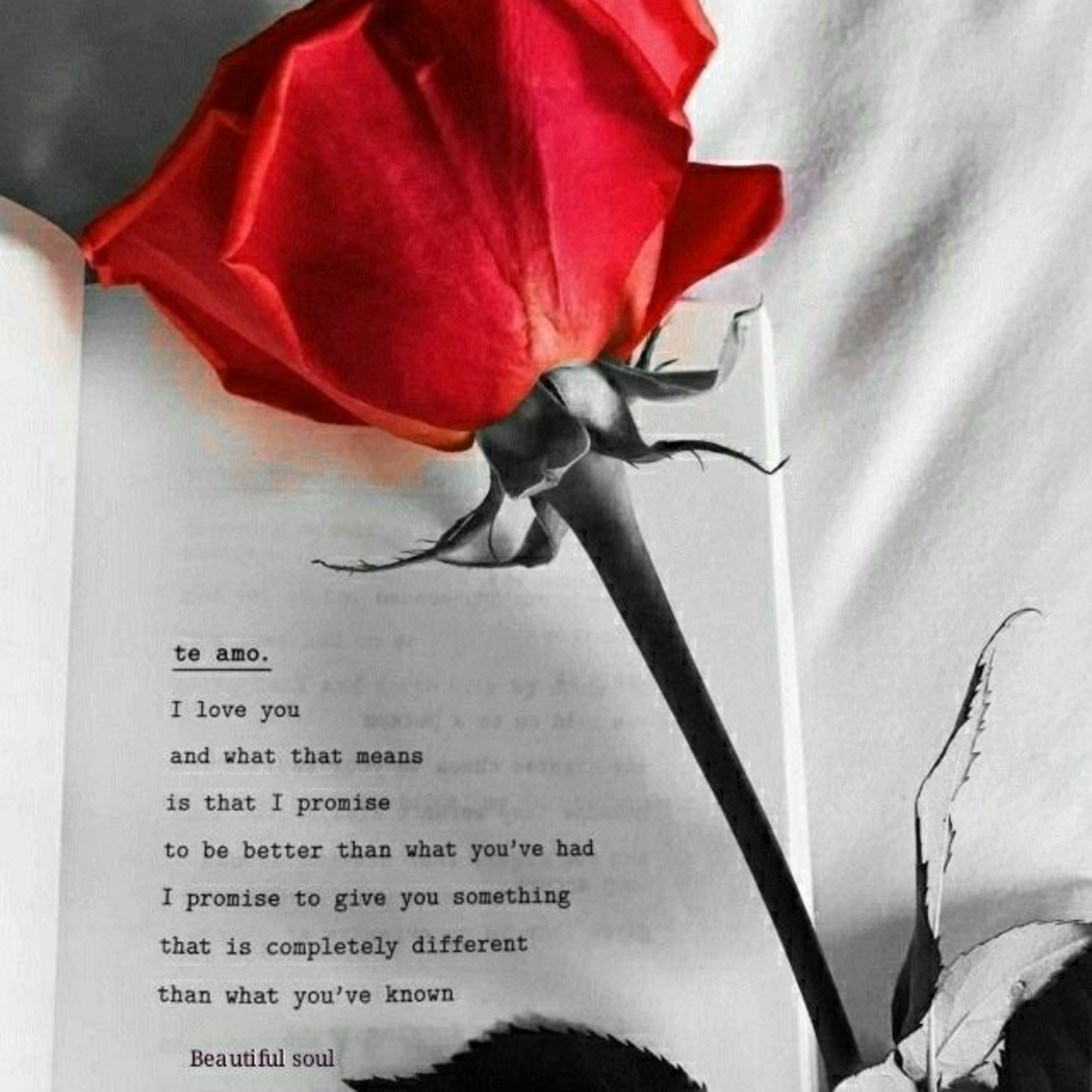 Conscious.Relationships