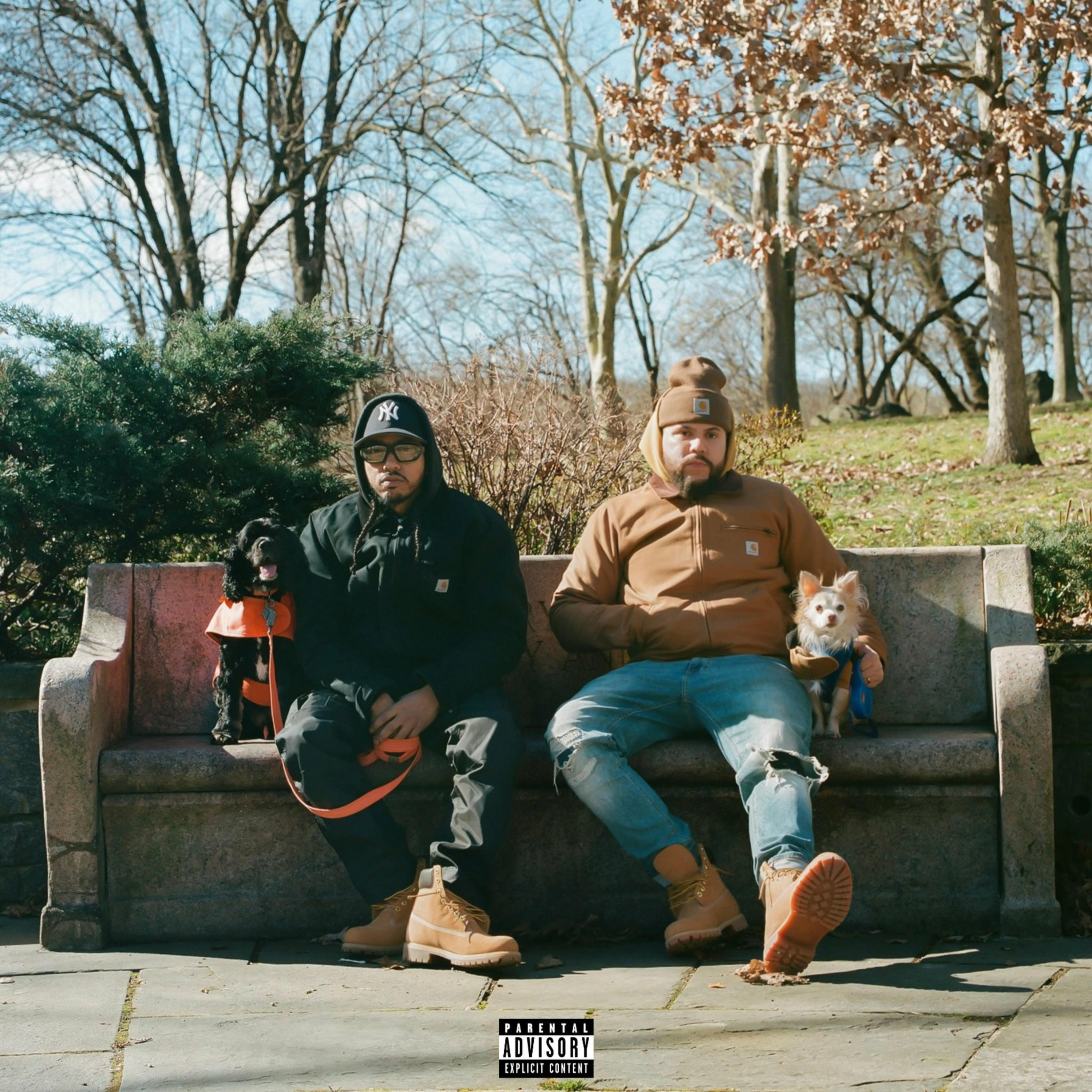 Tree Mason & Spanish Ran's "Corduroy Collar Crime" Album Review.  episode artwork