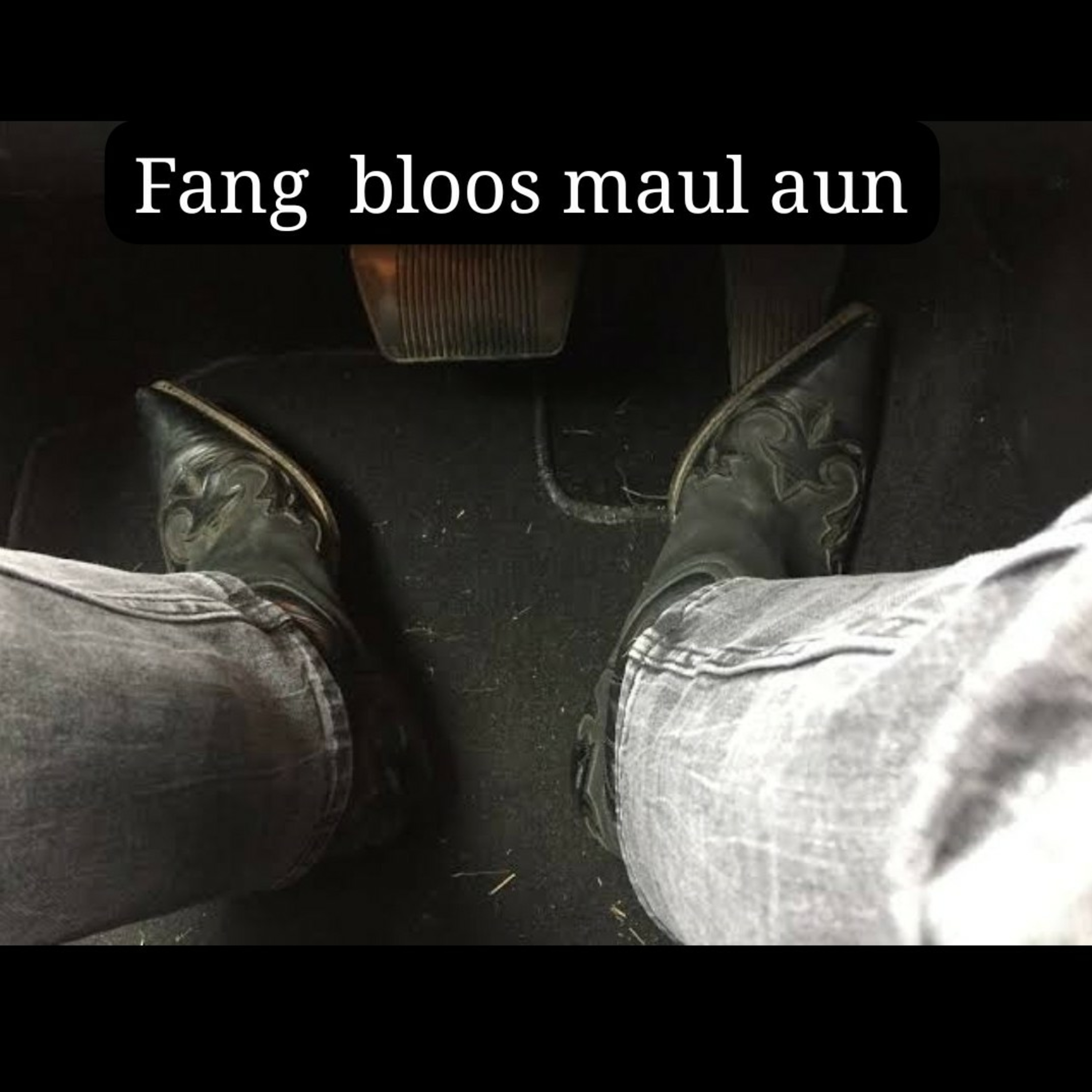 Fang bloss maul aun