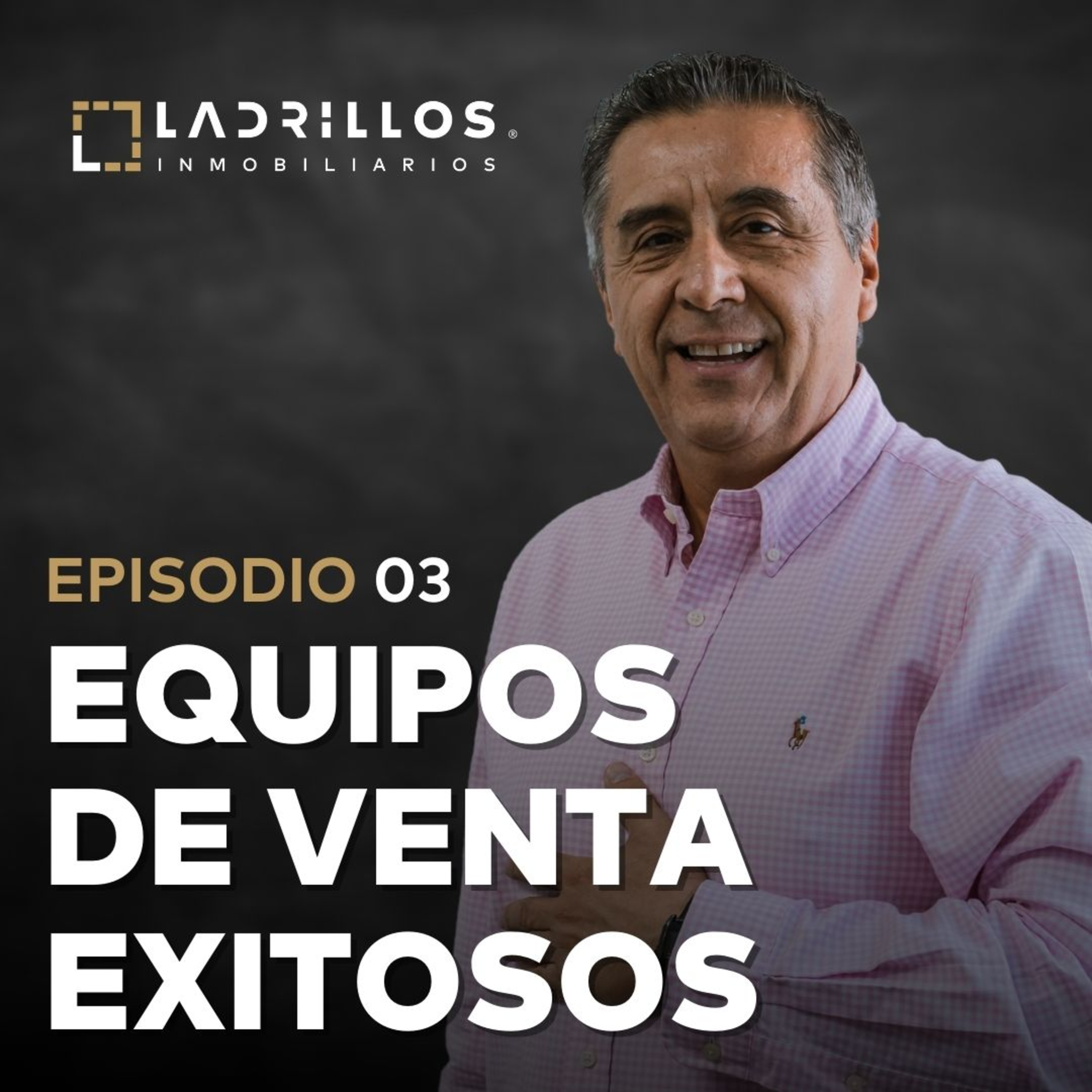 Ladrillos Inmobiliarios by Jerry Medina