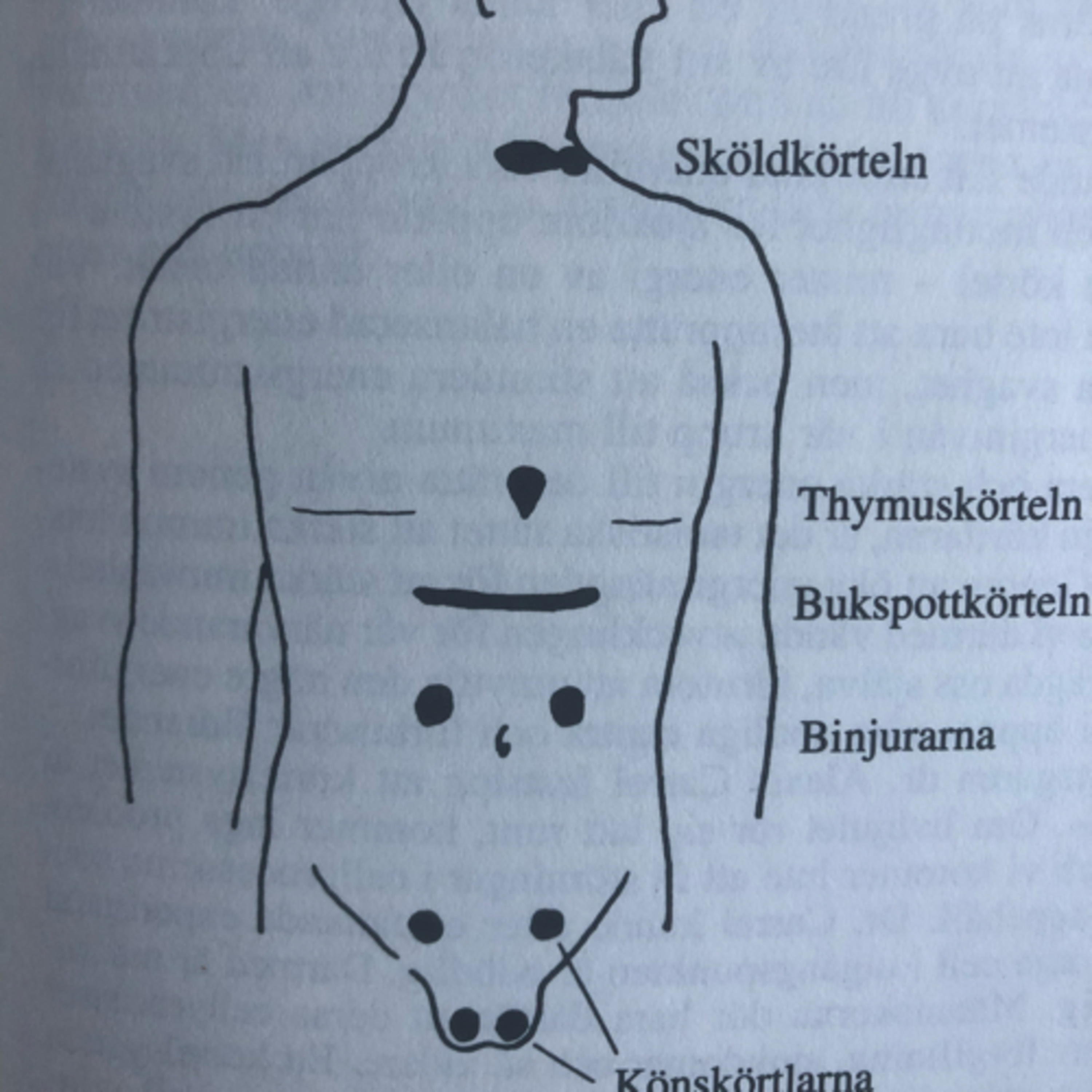 Nyfiken på tantra