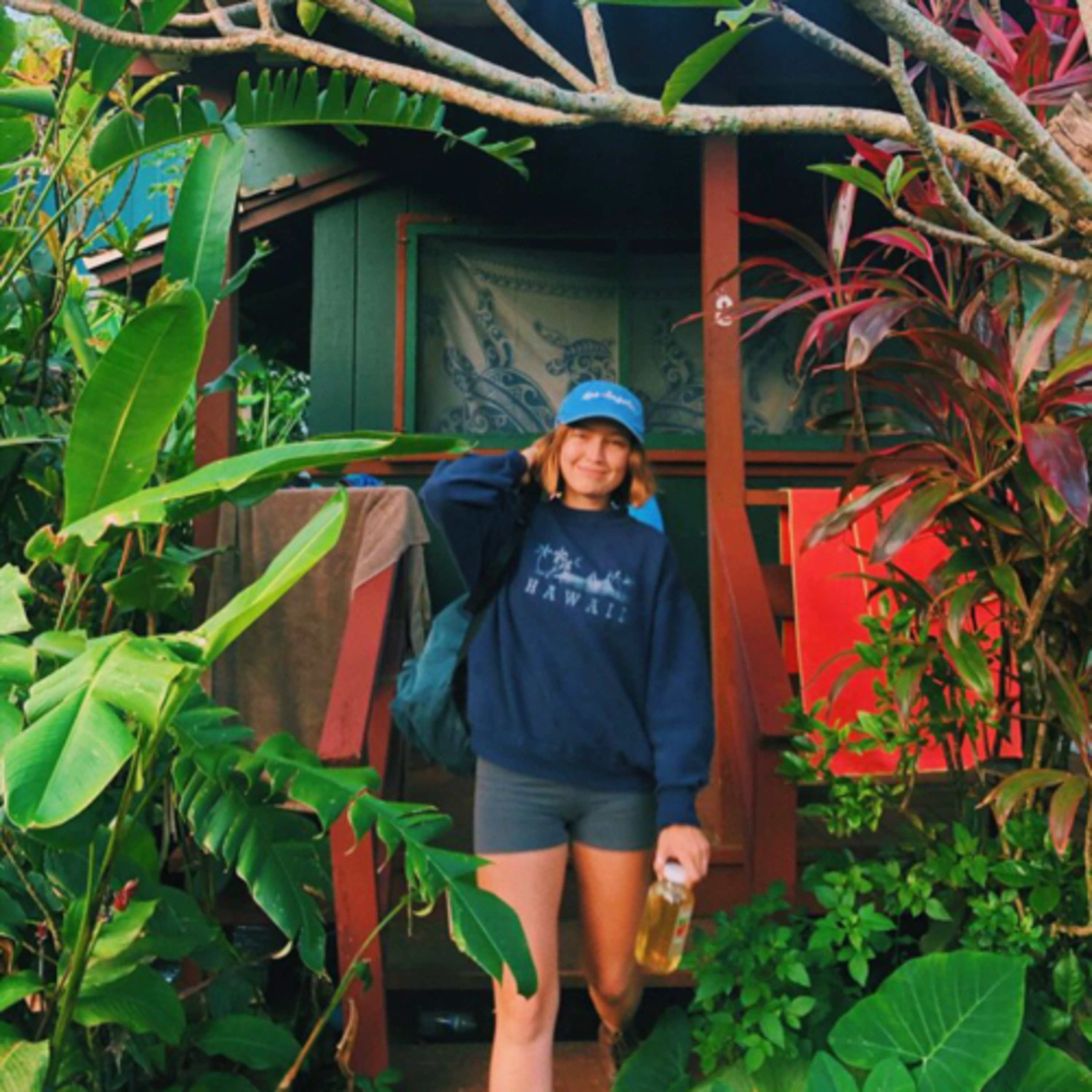 hostels in hawaii