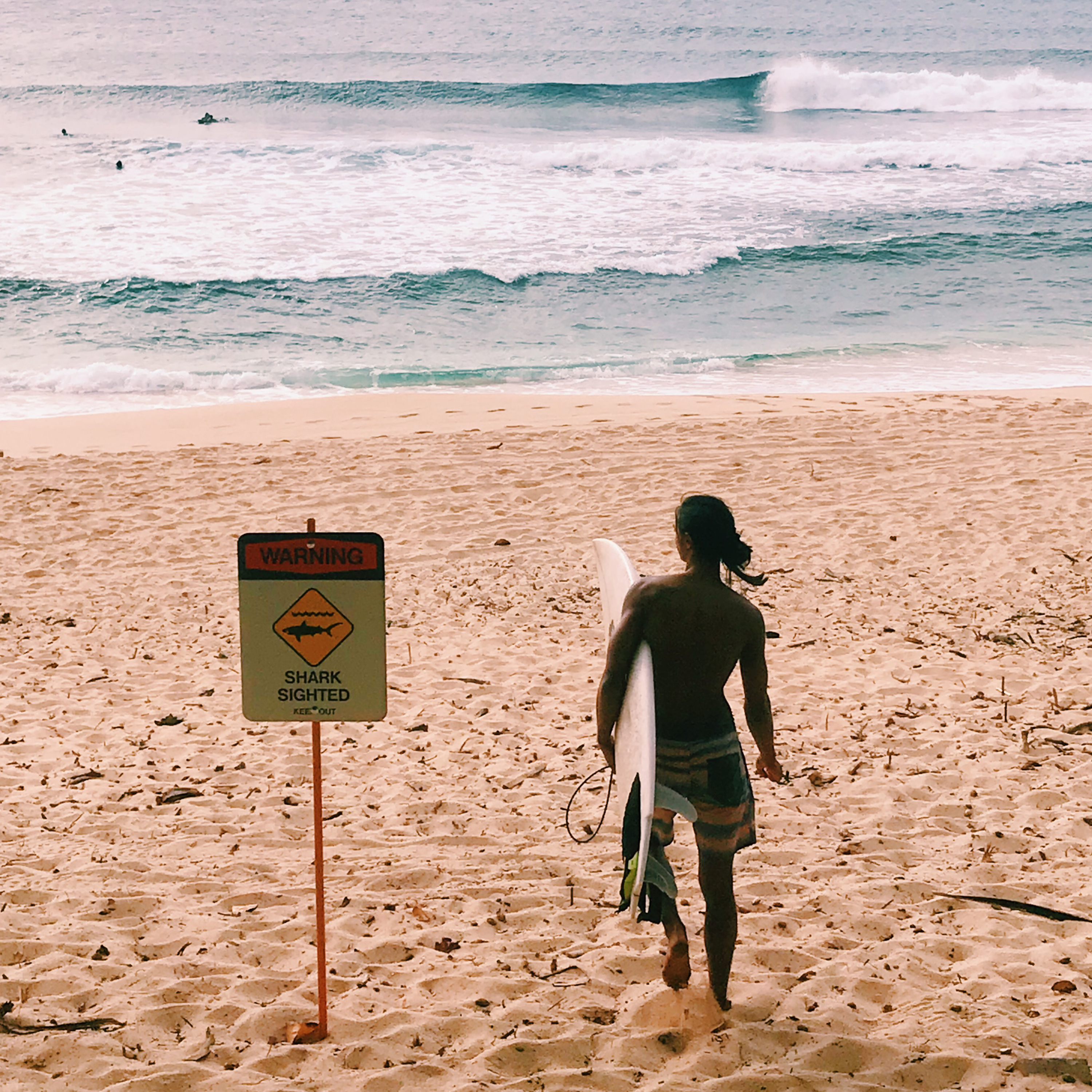 hostels in hawaii
