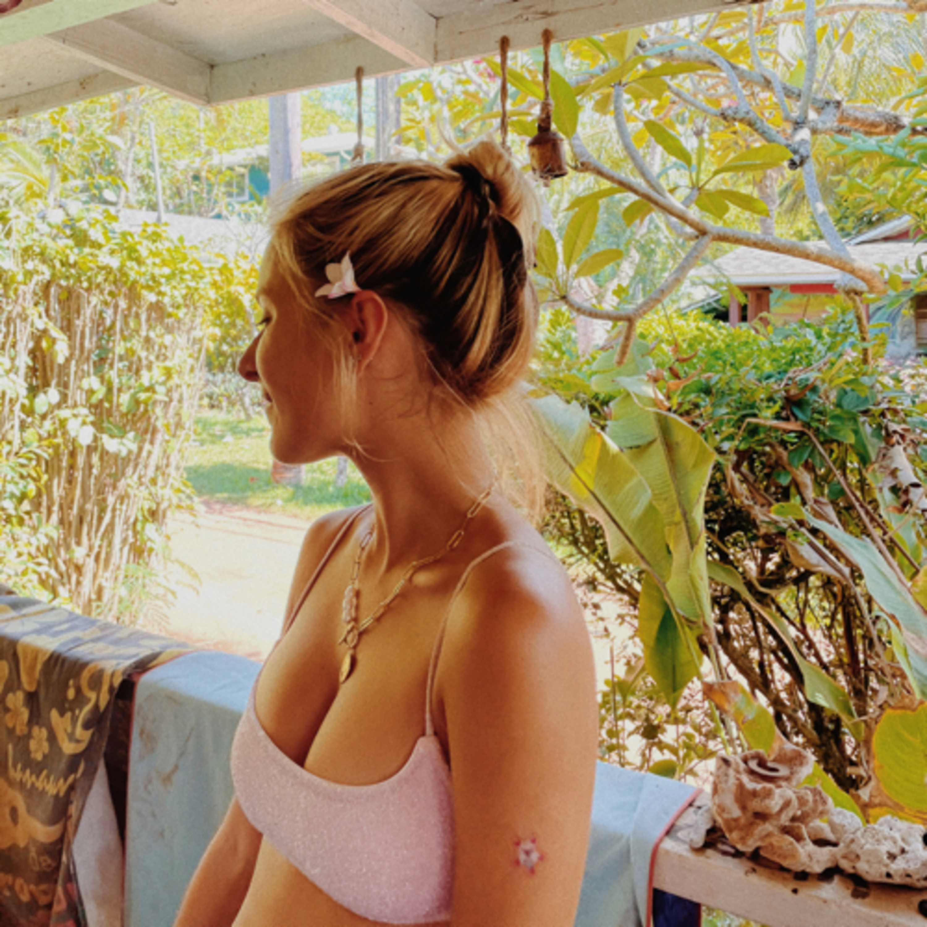 hostels in hawaii