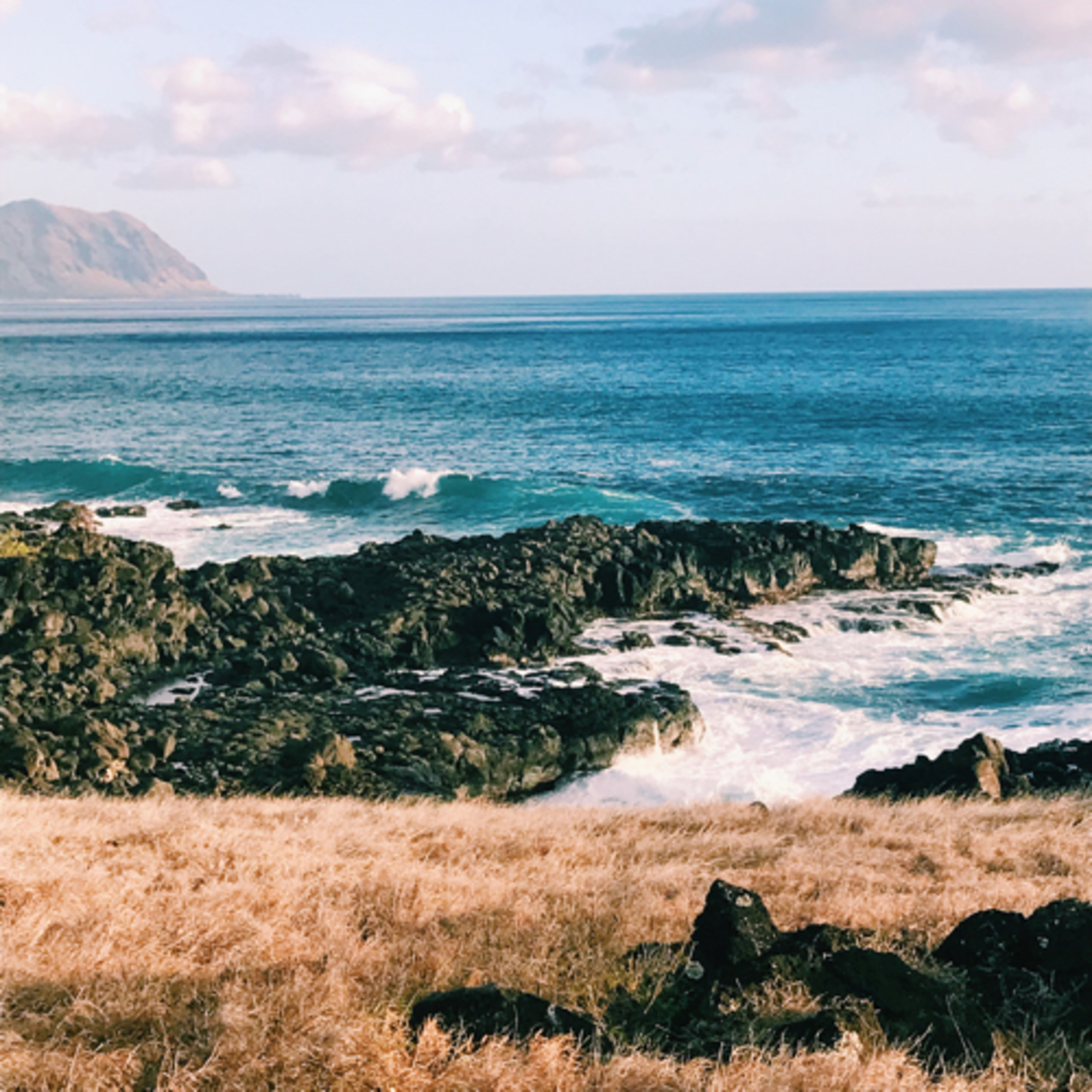 hostels in hawaii