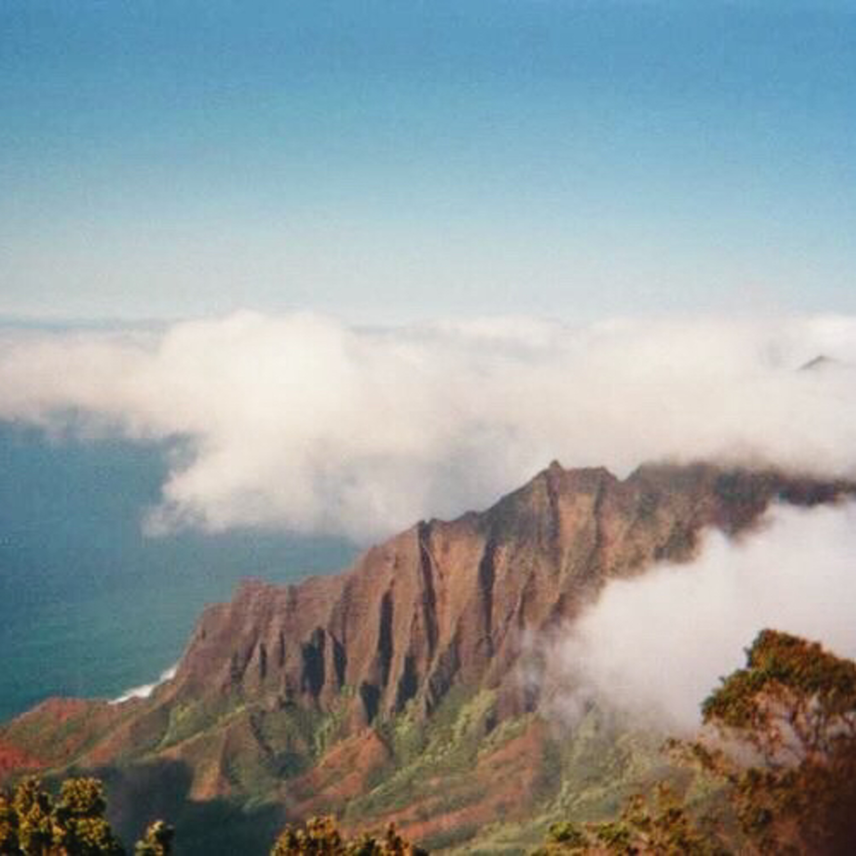 hostels in hawaii