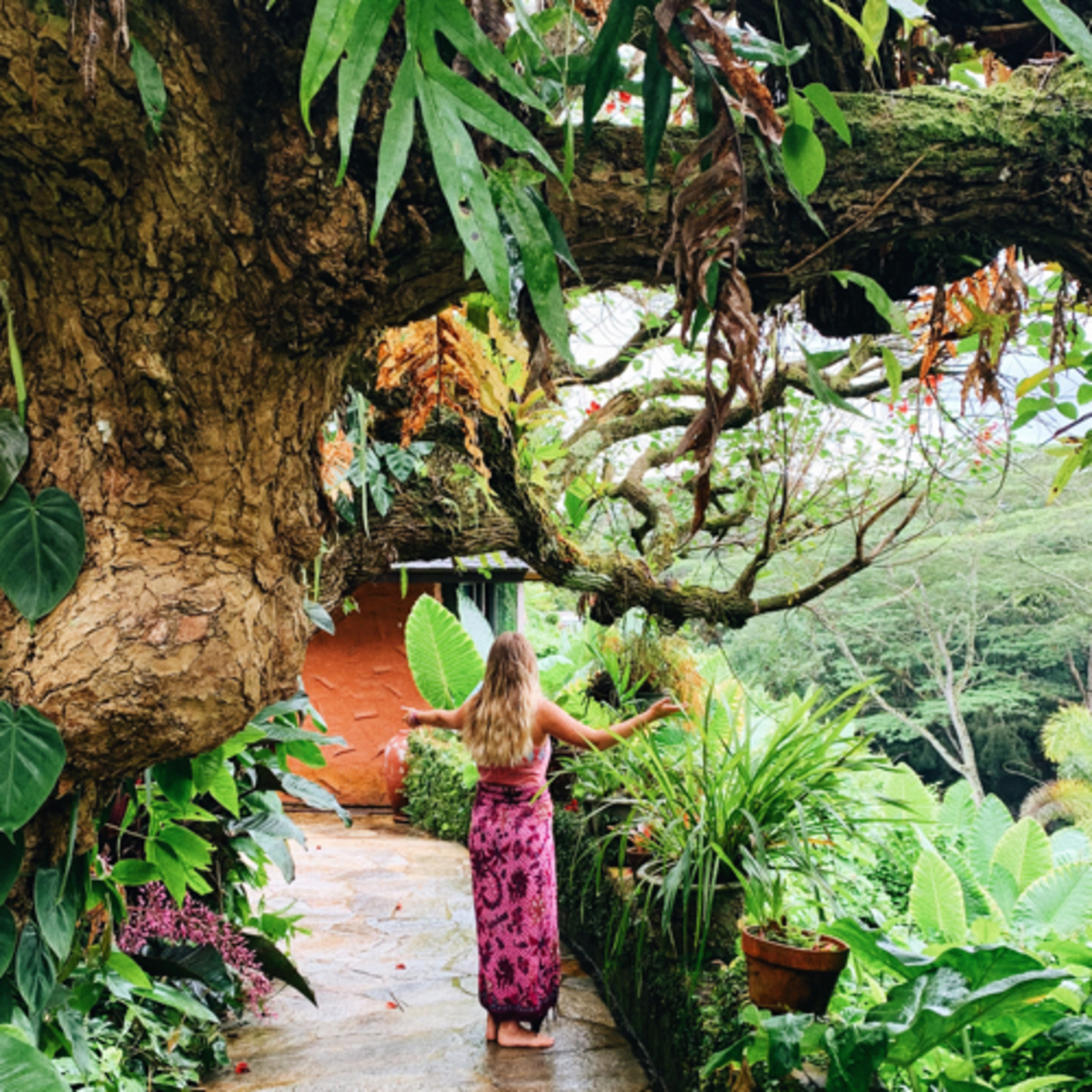 hostels in hawaii