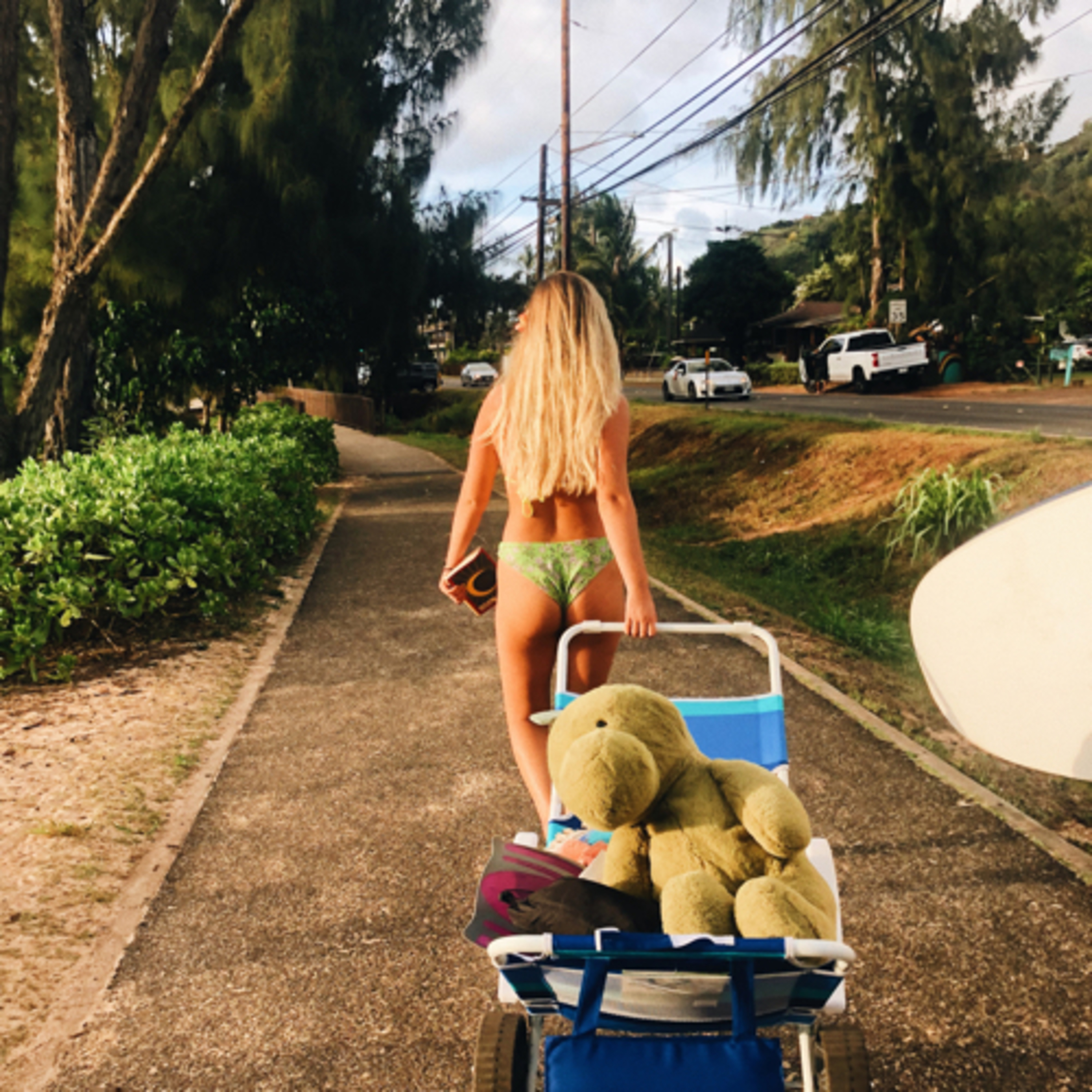 hostels in hawaii