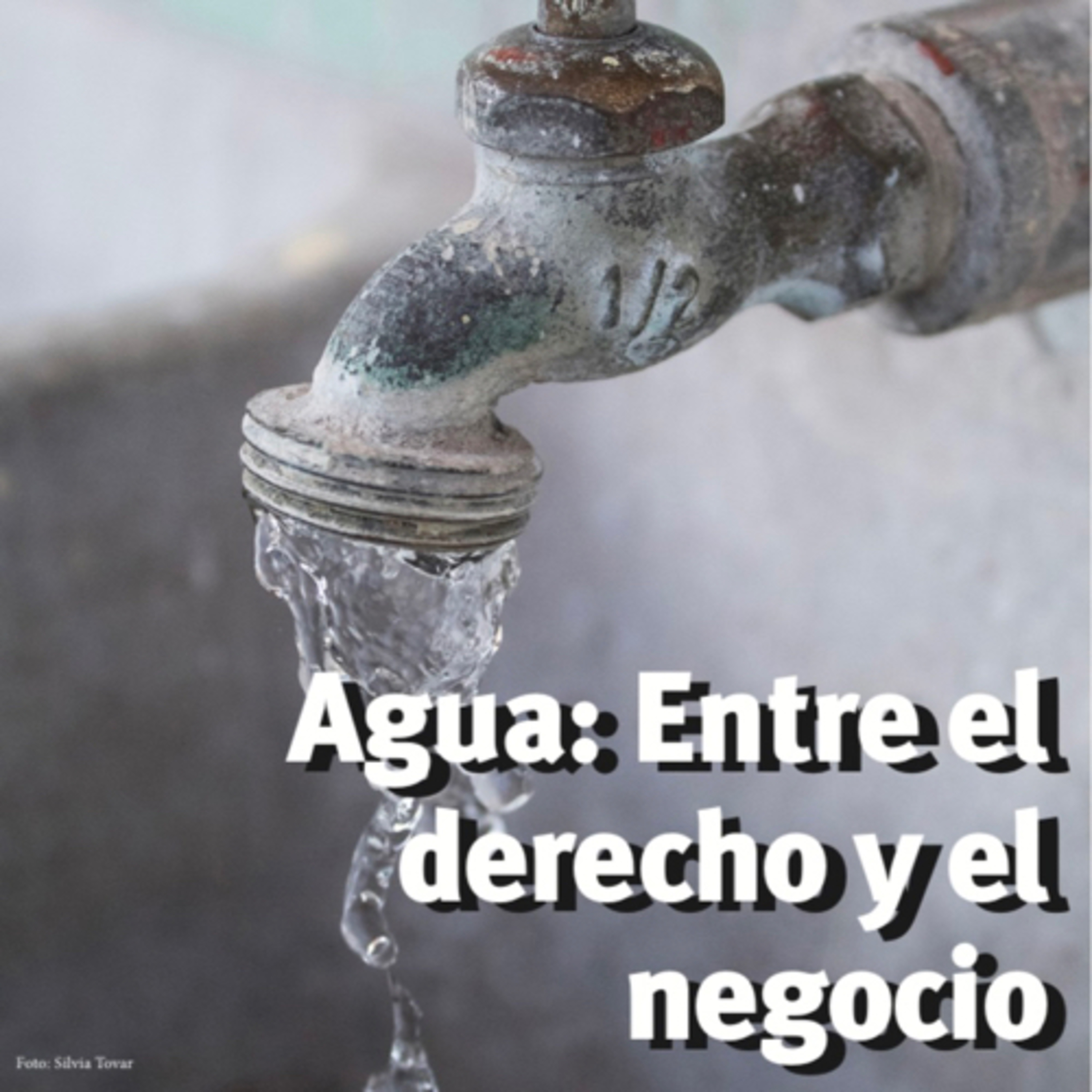 Portada de Tribuna de Querétaro