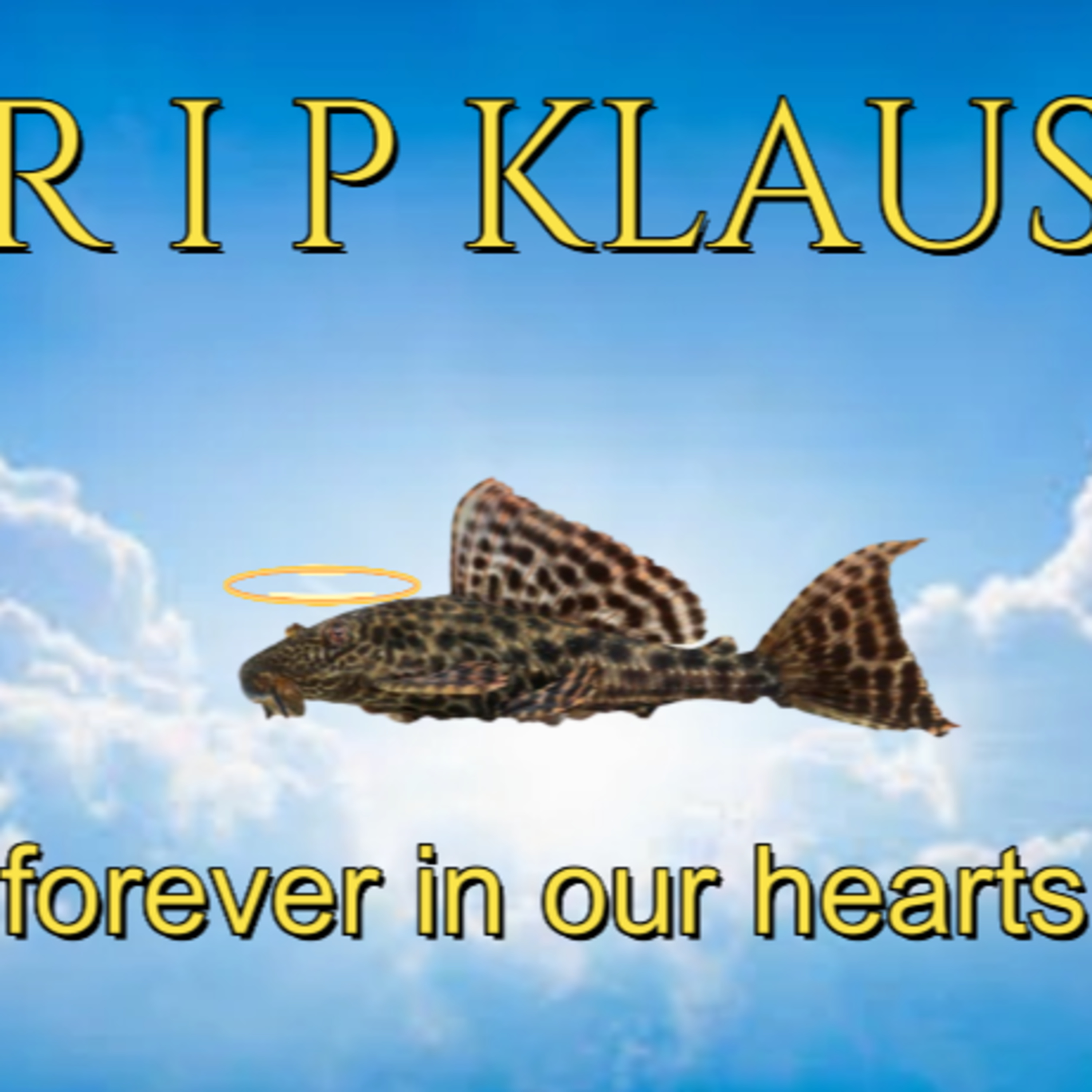 Episode 80-RIP Klaus  episode artwork
