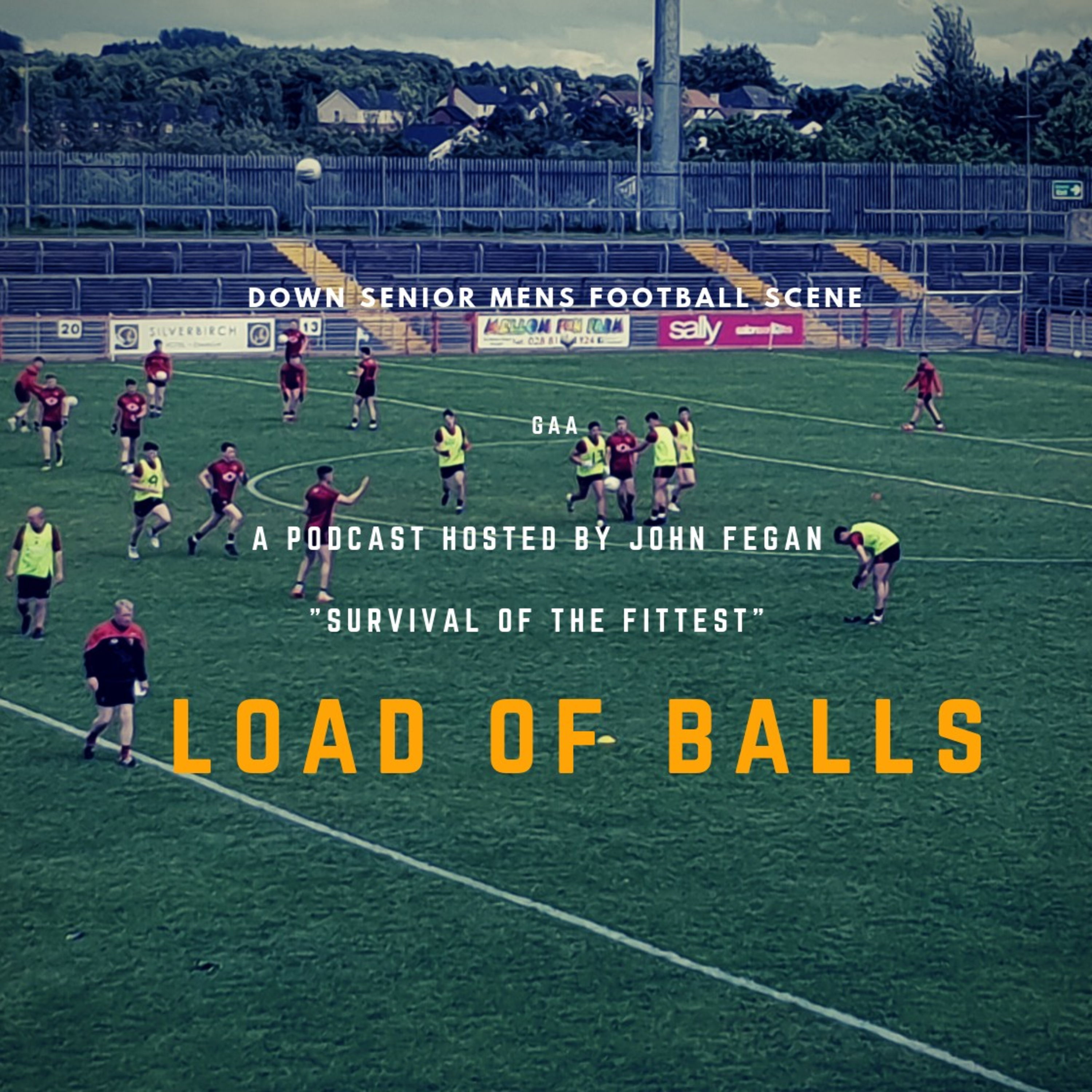 LOAD OF BALLS