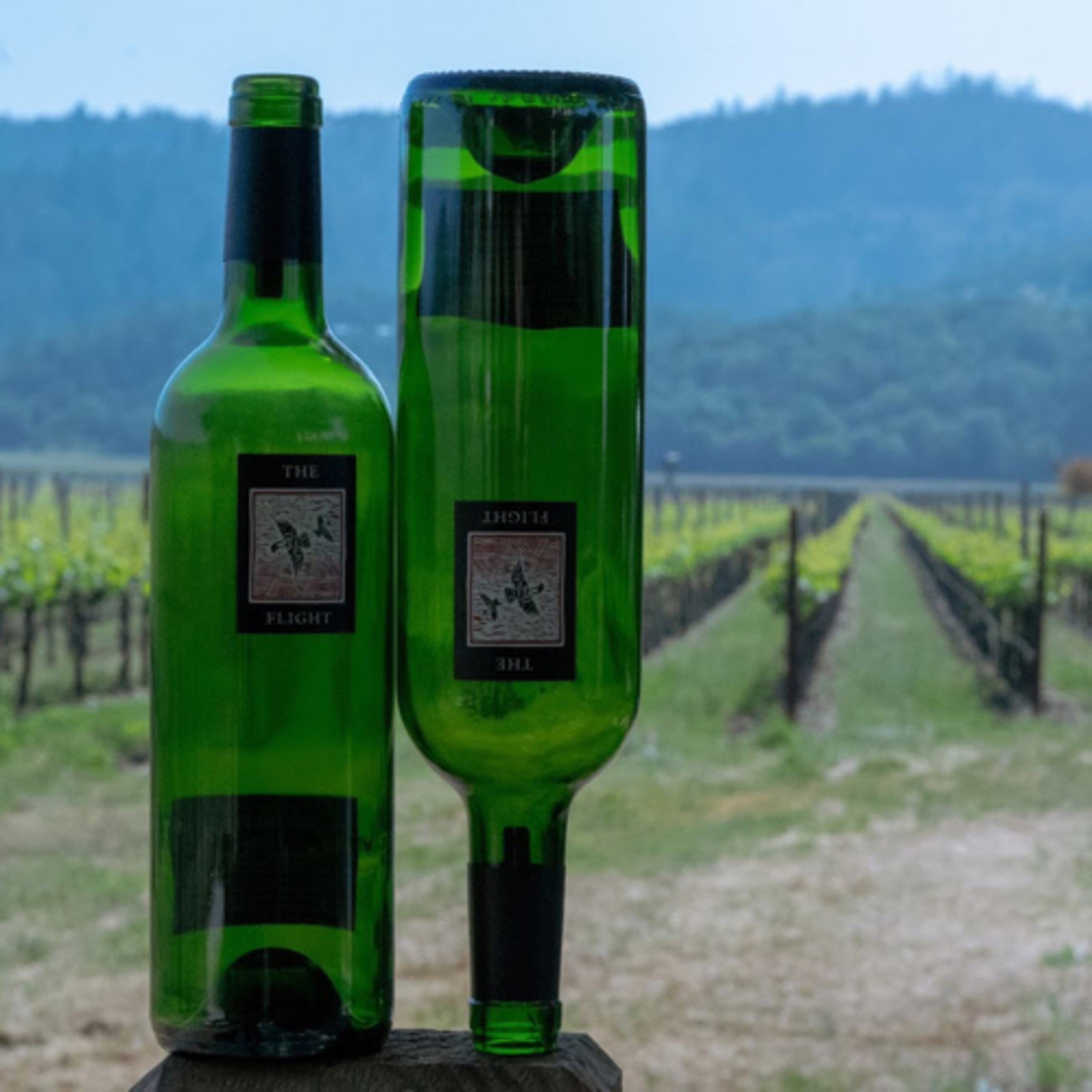 Through The Grapevine | Culture + Hospitality